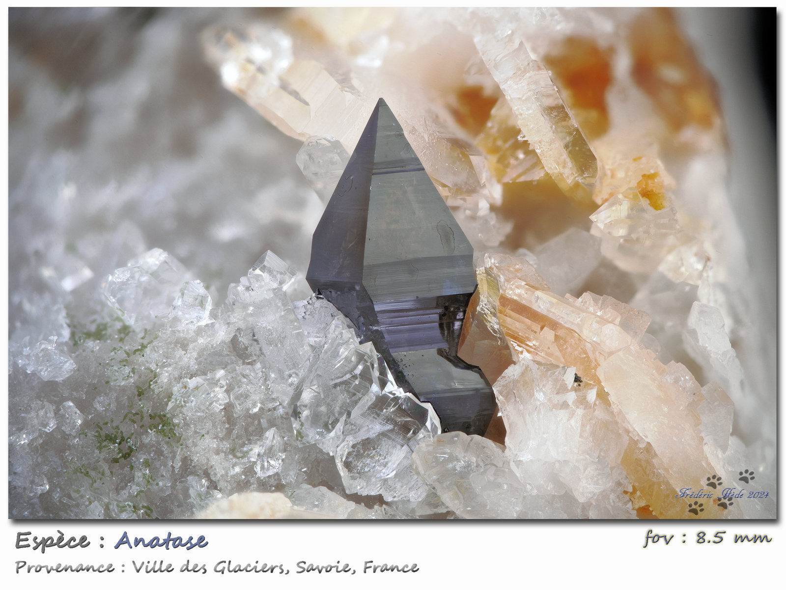 Anatase with Albite and Quartz
fov 8.5 mm
(Autor: ploum)