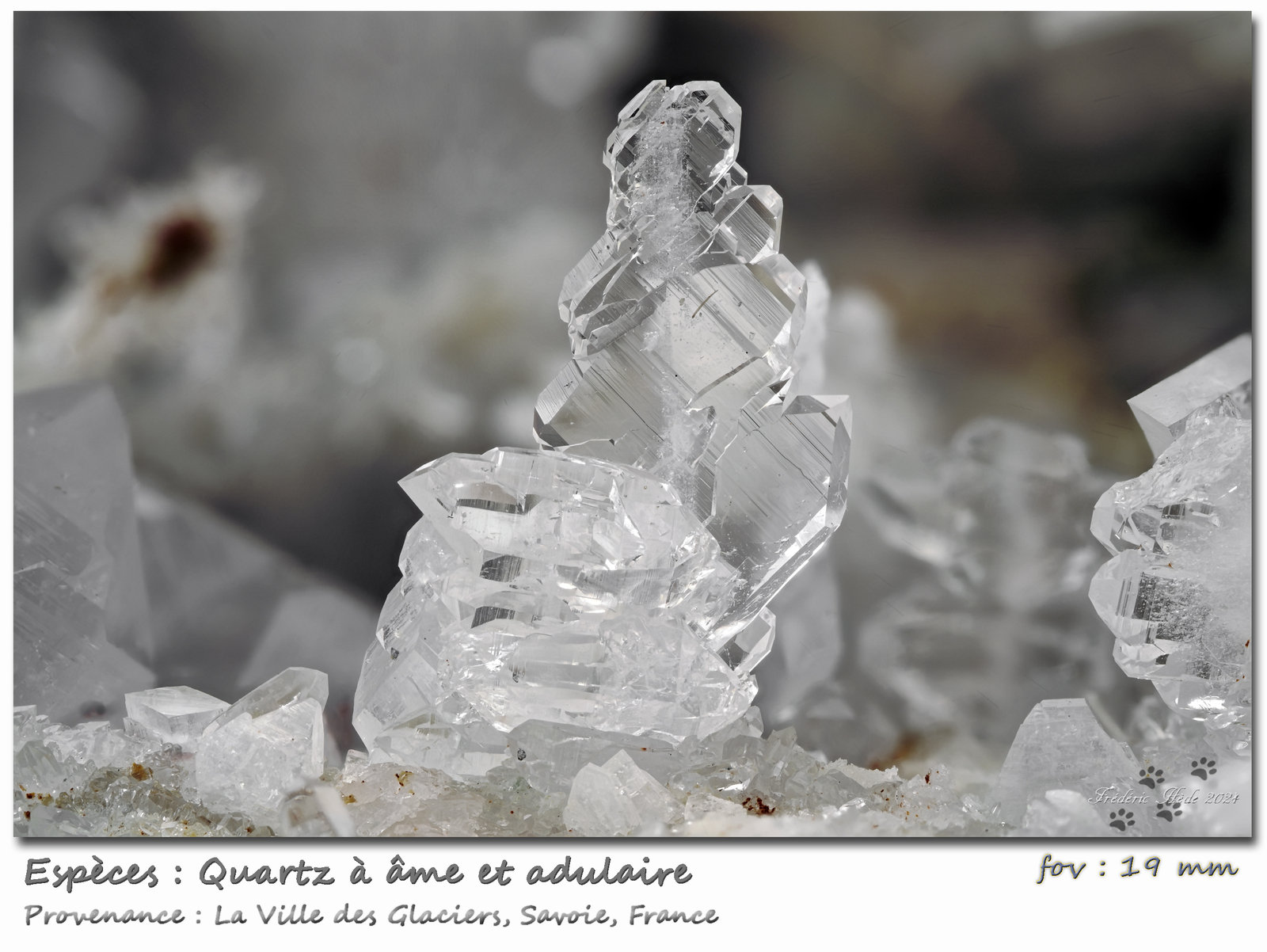 Faden Quartz
fov 19 mm
(Autor: ploum)