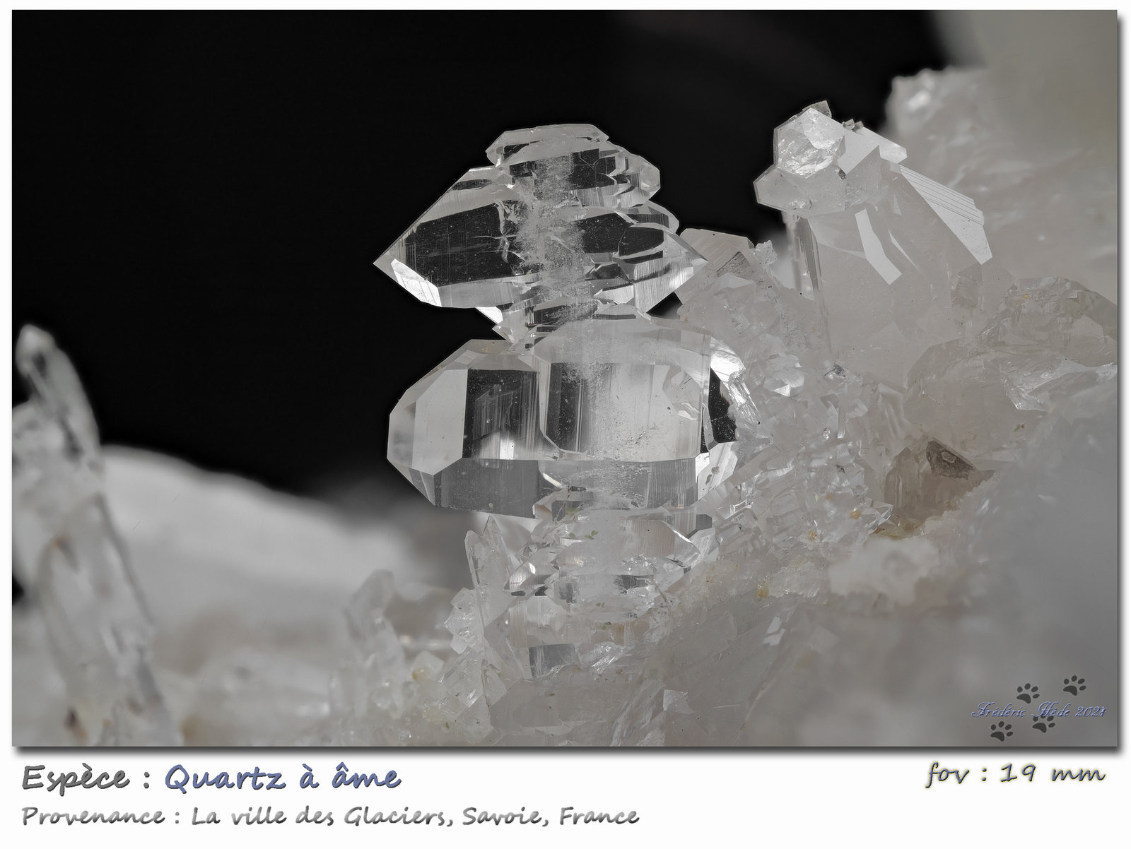 Faden Quartz
fov 19 mm
(Autor: ploum)