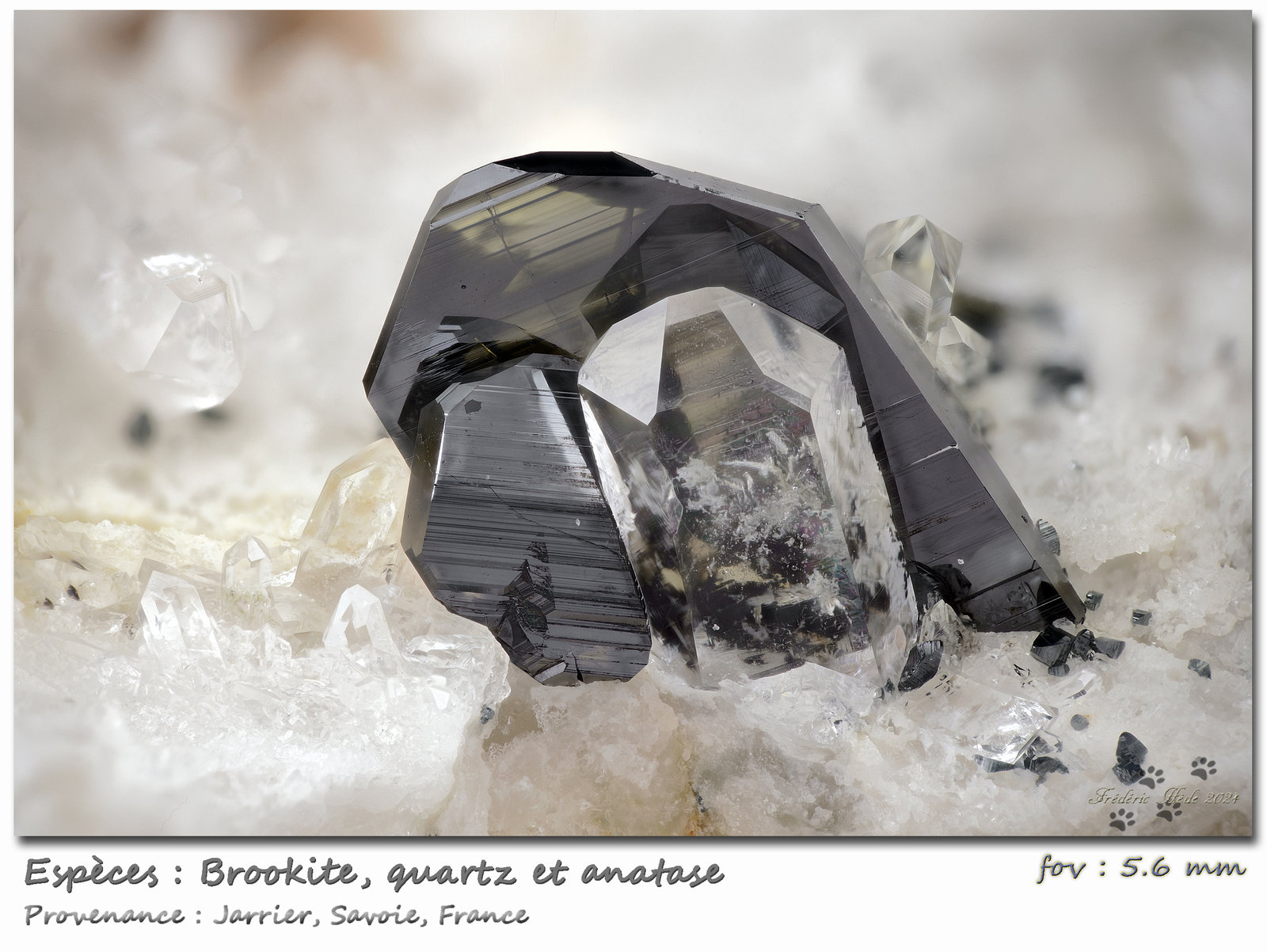 Brookite
fov 5.6 mm
(Autor: ploum)