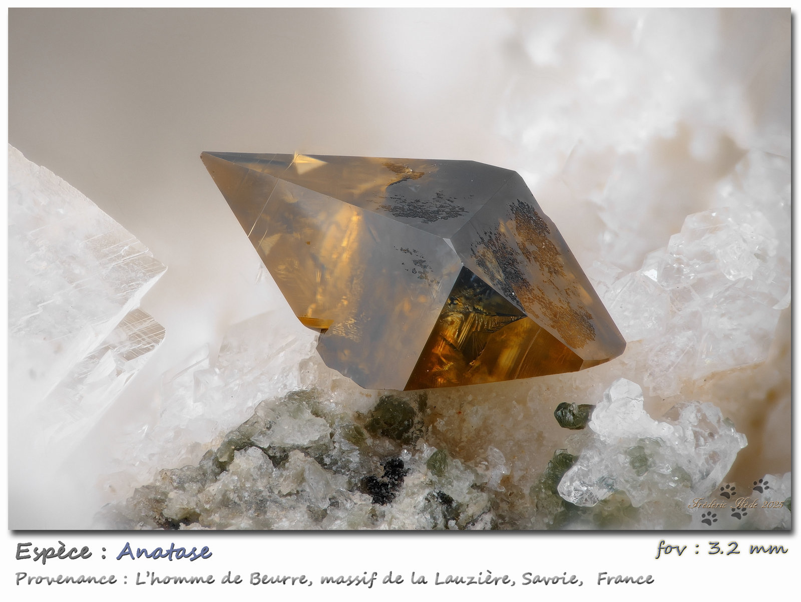 Anatase
fov 3.2 mm
(Autor: ploum)