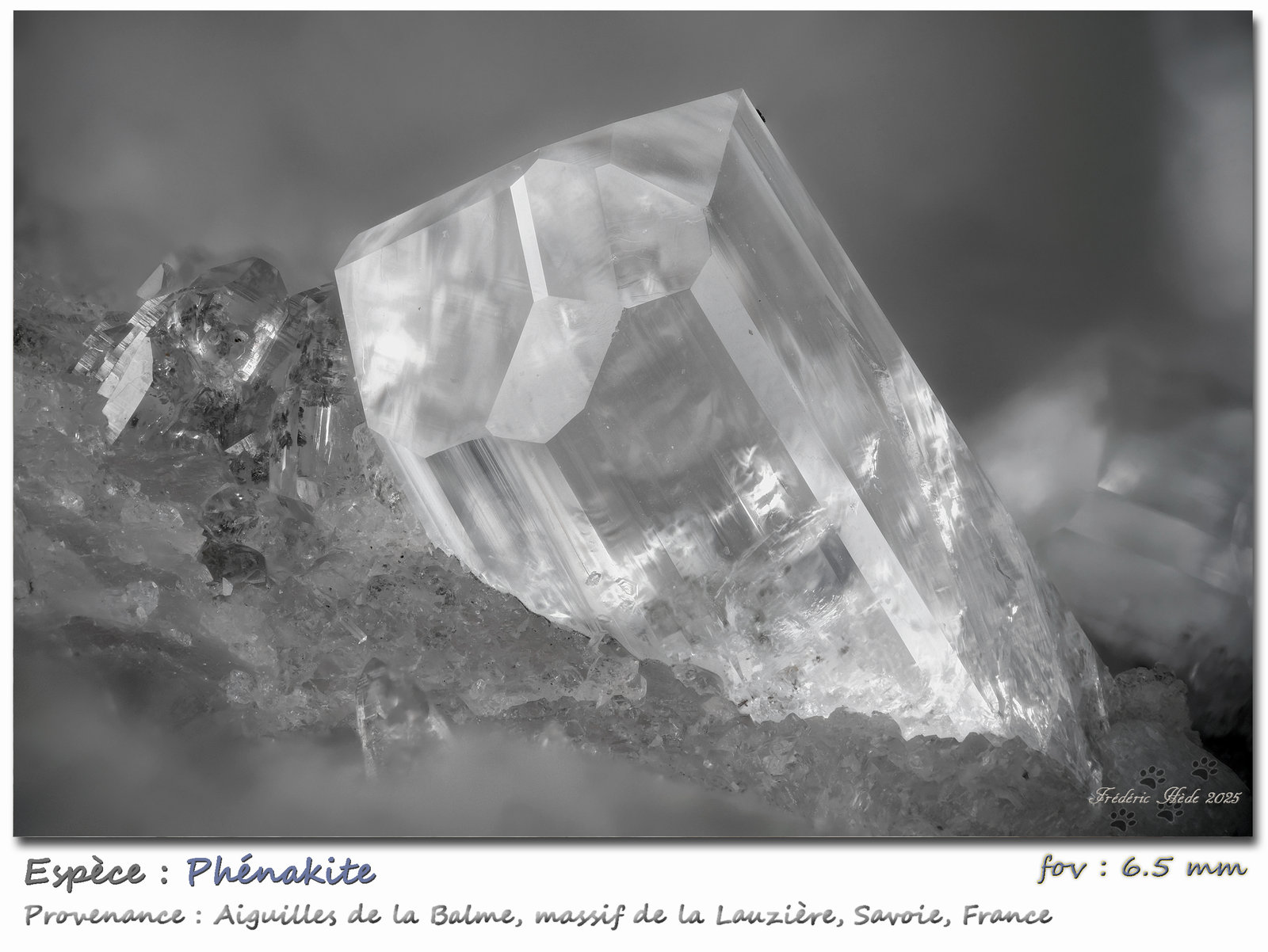 Phenakite
fov 6.5 mm
(Autor: ploum)