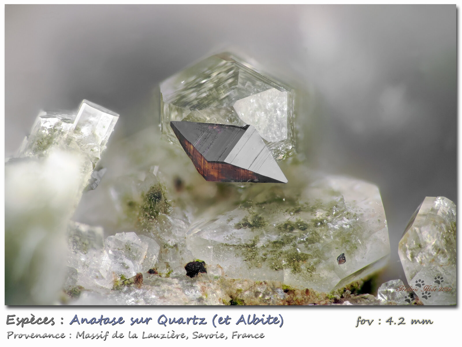 Anatase on Quartz
Vallon de la Valette, Macizo La Lauzière, Saint-Jean-de-Maurienne, Saboya, Auvergne-Rhône-Alpes, Francia
fov 4.2 mm
(Autor: ploum)