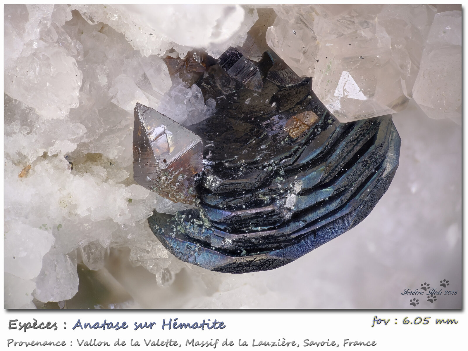 Anatase
Vallon de la Valette, Macizo La Lauzière, Saint-Jean-de-Maurienne, Saboya, Auvergne-Rhône-Alpes, Francia
fov 6.05 mm
(Autor: ploum)