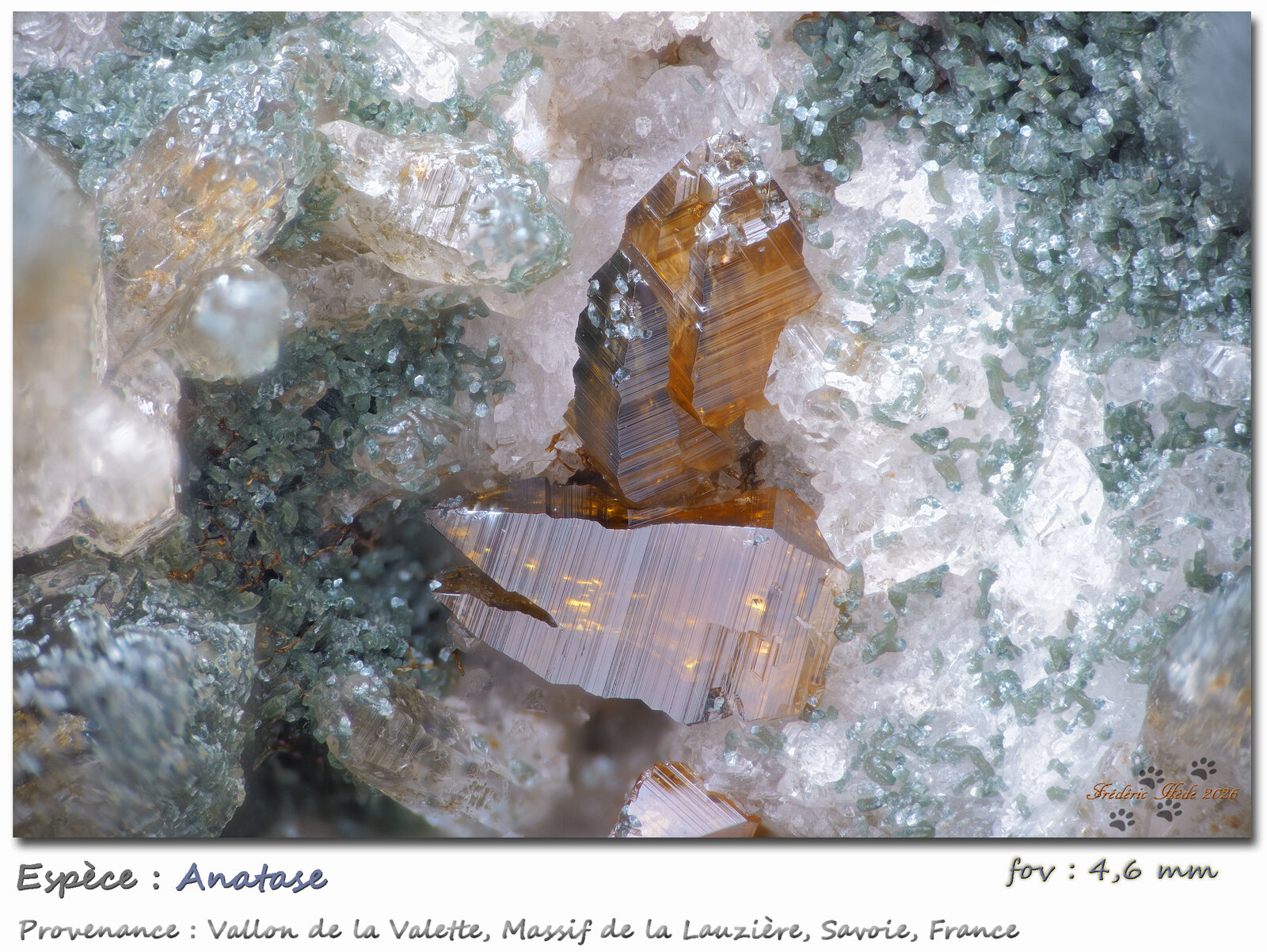 Anatase
Vallon de la Valette, Macizo La Lauzière, Saint-Jean-de-Maurienne, Saboya, Auvergne-Rhône-Alpes, Francia
fov 4.6 mm
(Autor: ploum)