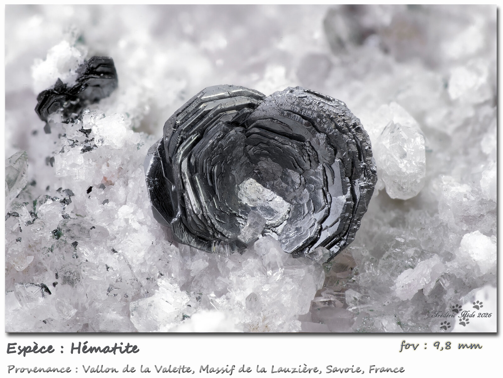 Hematite
Vallon de la Valette, La Lauzière Massif, Saint-Jean-de-Maurienne, Savoie, Auvergne-Rhône-Alpes, France
fov 9,8 mm
(Autor: ploum)