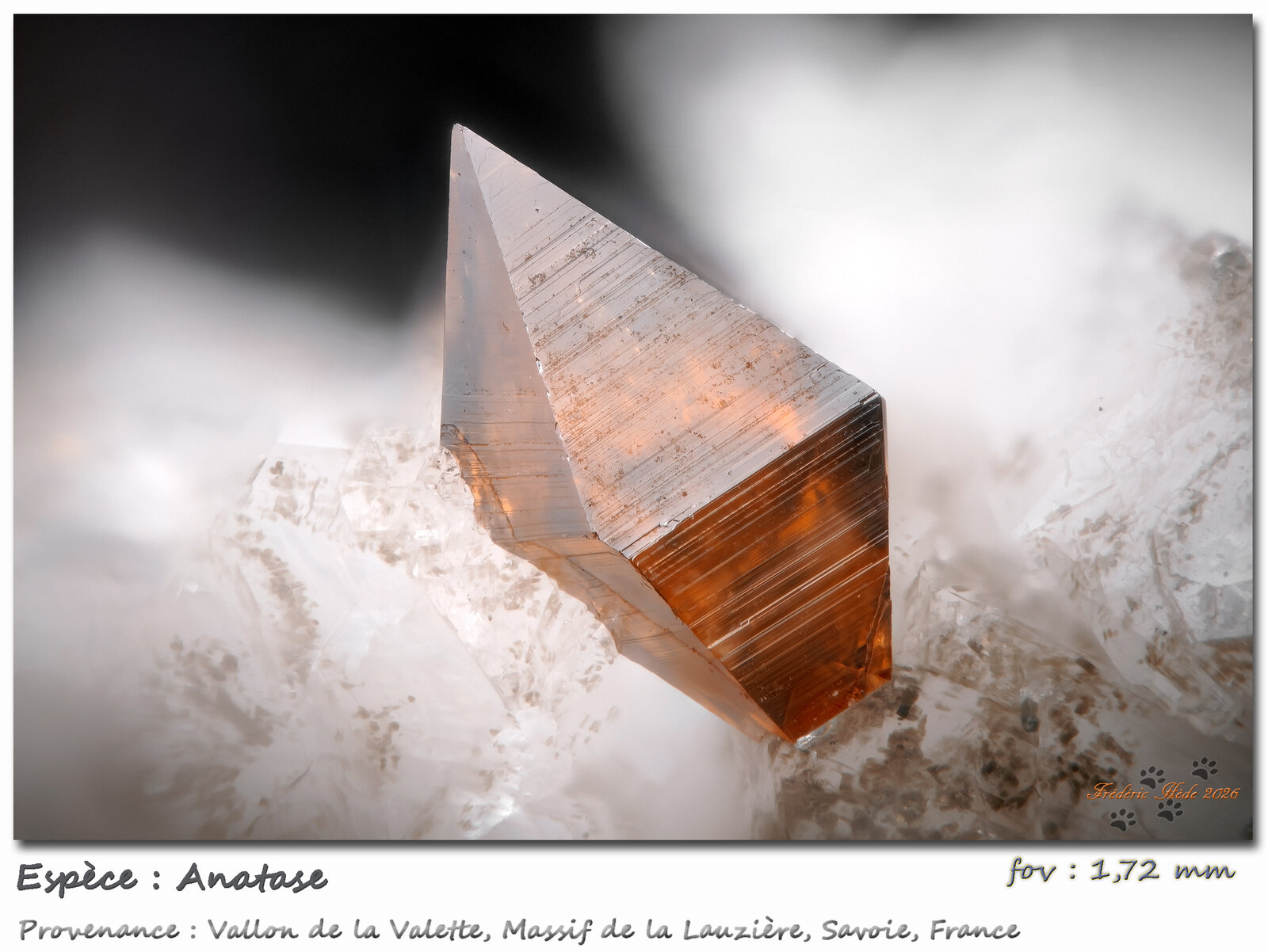Anatase
Vallon de la Valette, Macizo La Lauzière, Saint-Jean-de-Maurienne, Saboya, Auvergne-Rhône-Alpes, Francia
fov 1.72 mm
(Autor: ploum)