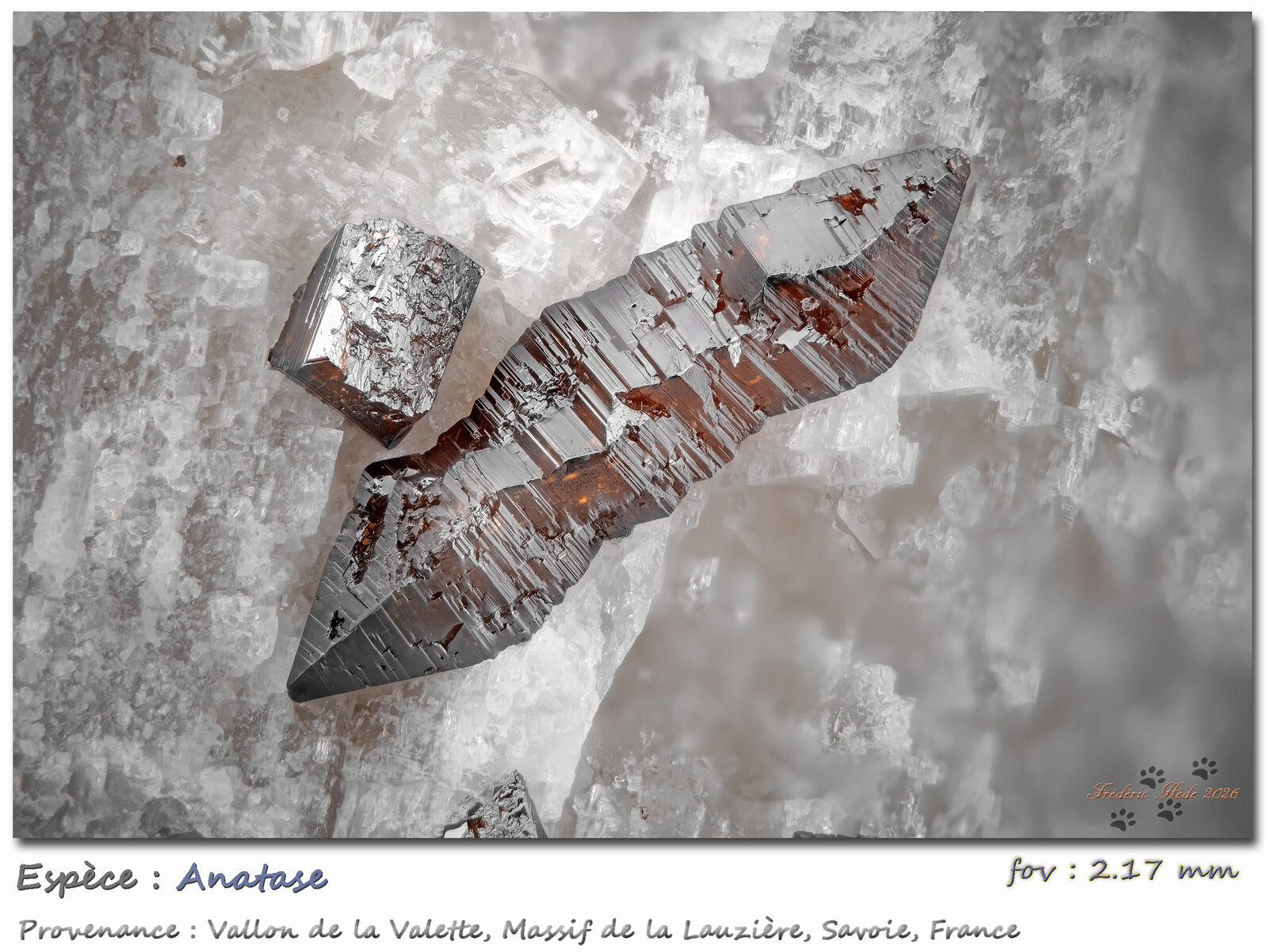 Anatase
Vallon de la Valette, Macizo La Lauzière, Saint-Jean-de-Maurienne, Saboya, Auvergne-Rhône-Alpes, Francia
fov 2,17 mm
(Autor: ploum)