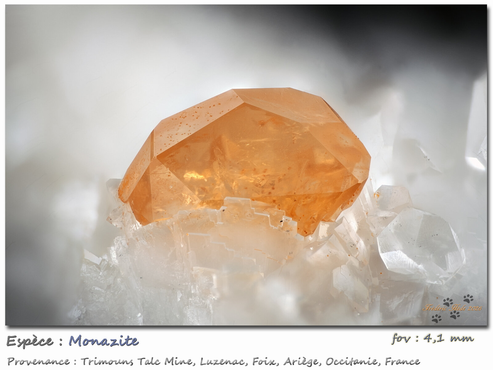 Monazite
Mina Trimouns, Luzenac, Haute-Ariège, Foix, Departamento Ariège, Occitanie, Francia
fov 4,1 mm
(Autor: ploum)