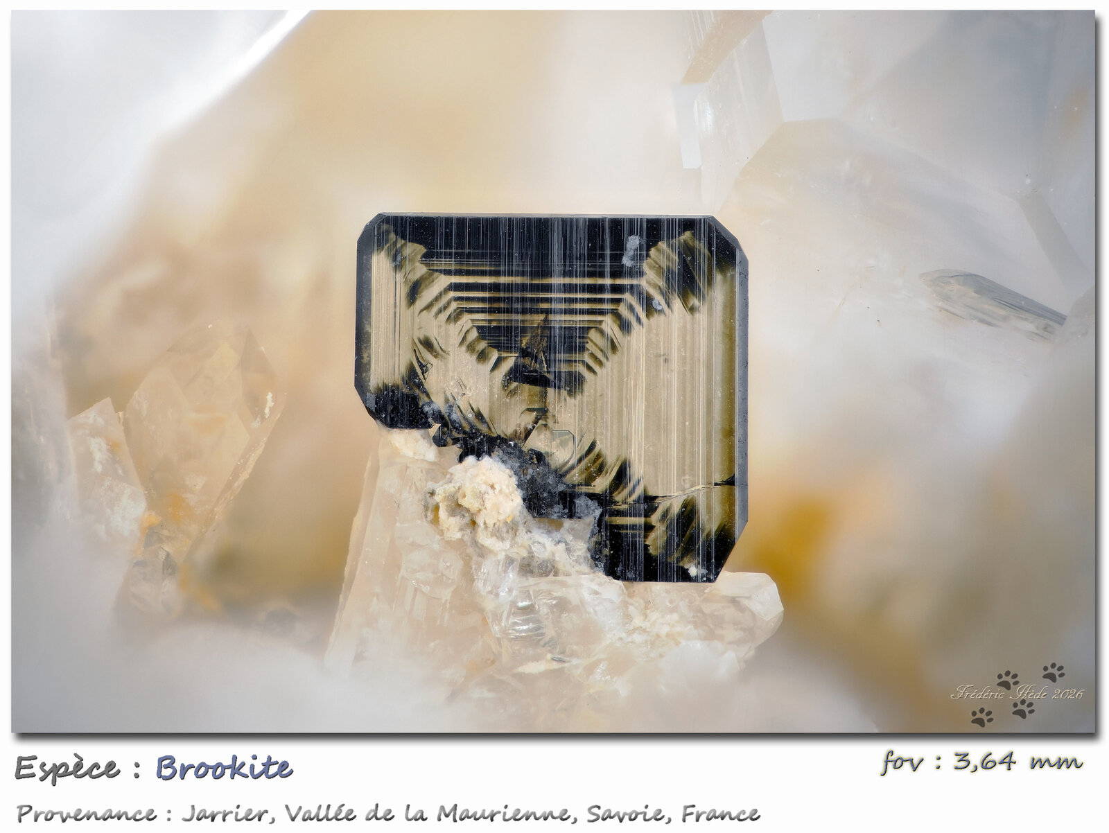 Brookite
Jarrier, Saint-Jean-de-Maurienne, Savoie, Auvergne-Rhône-Alpes, France
fov 3.64 mm
(Autor: ploum)