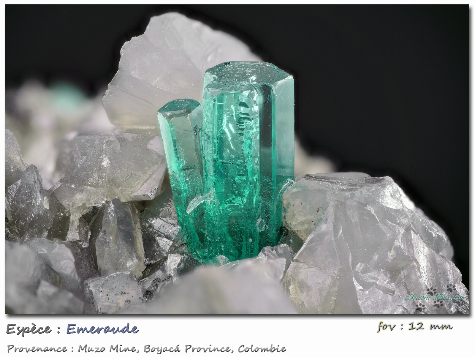 Emerald
Muzo mining district, Western Emerald Belt, Boyacá Department, Colombia
fov 12 mm
(Autor: ploum)