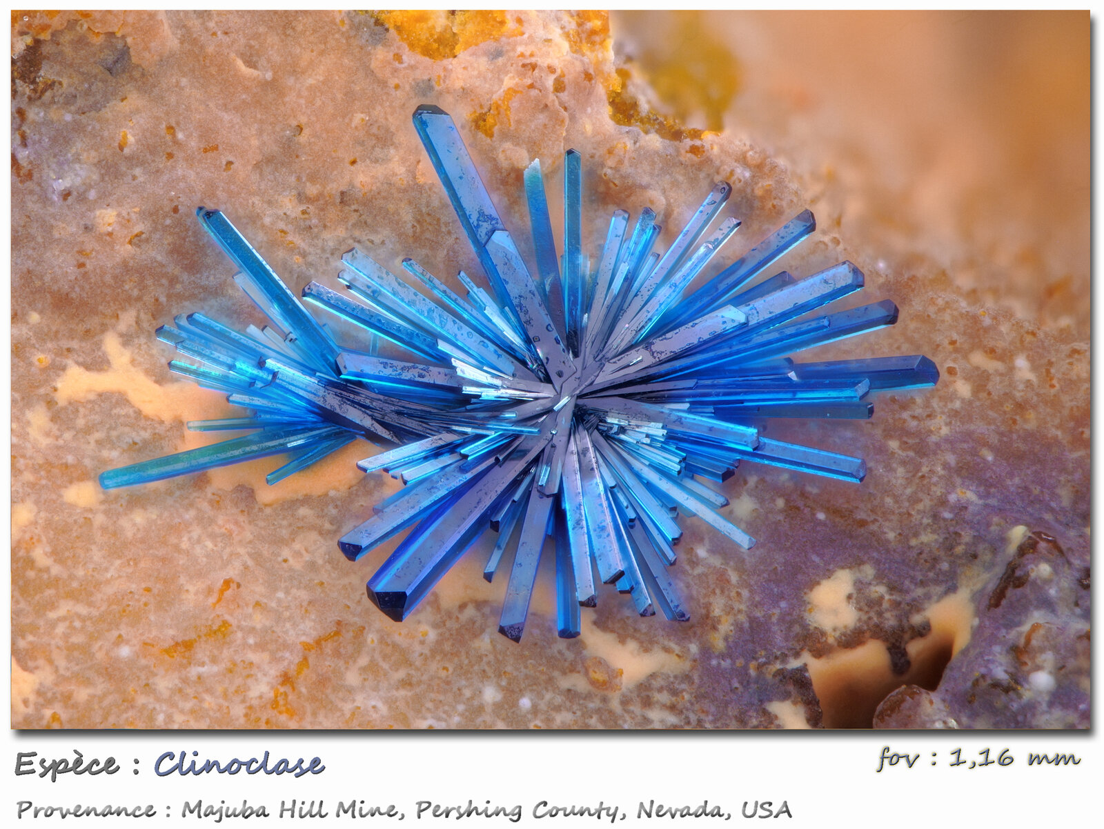 clinoclase
Majuba Hill Mine, Antelope District, Pershing County, Nevada, USA
fov 1.16 mm
(Autor: ploum)