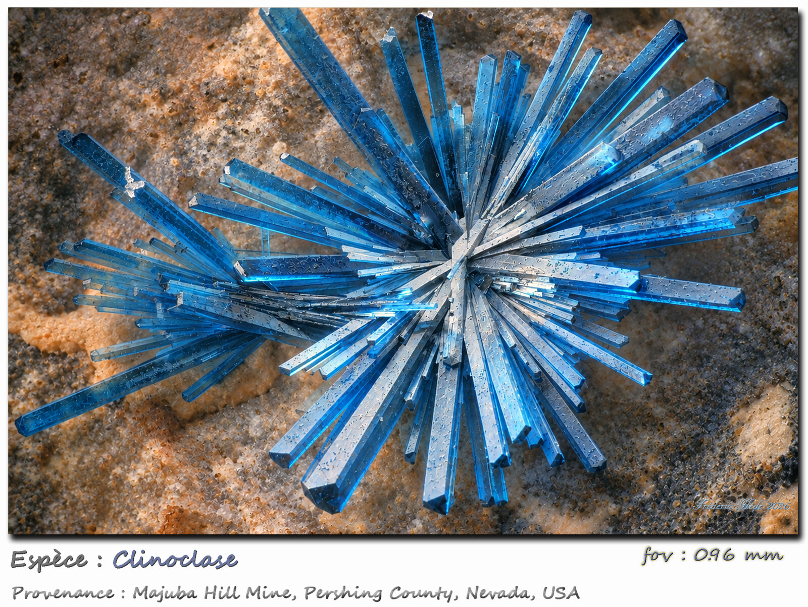 Clinoclase
Majuba Hill Mine, Antelope District, Pershing County, Nevada, USA
fov 0.96 mm
(Autor: ploum)