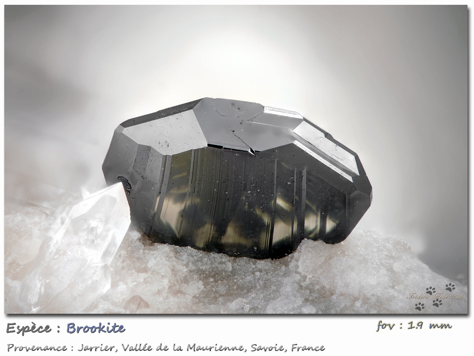 Brookite
Jarrier, Saint-Jean-de-Maurienne, Savoie, Auvergne-Rhône-Alpes, France
Fov 1.9 mm
(Autor: ploum)
