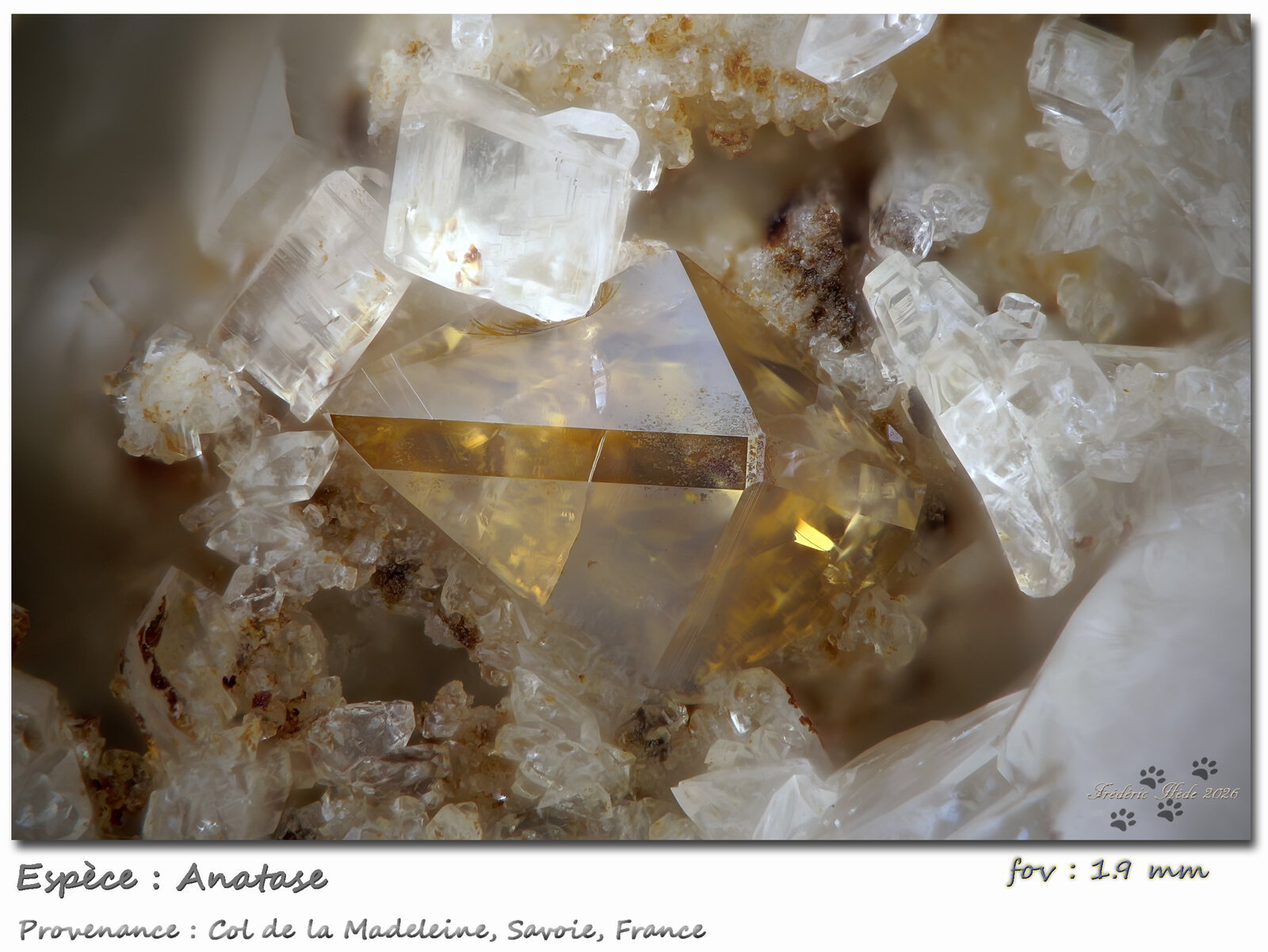 Anatase
Col de la Madeleine, La Lauzière Massif, Saint-Jean-de-Maurienne, Savoie, Auvergne-Rhône-Alpes, France
Fov 1.9 mm
(Autor: ploum)