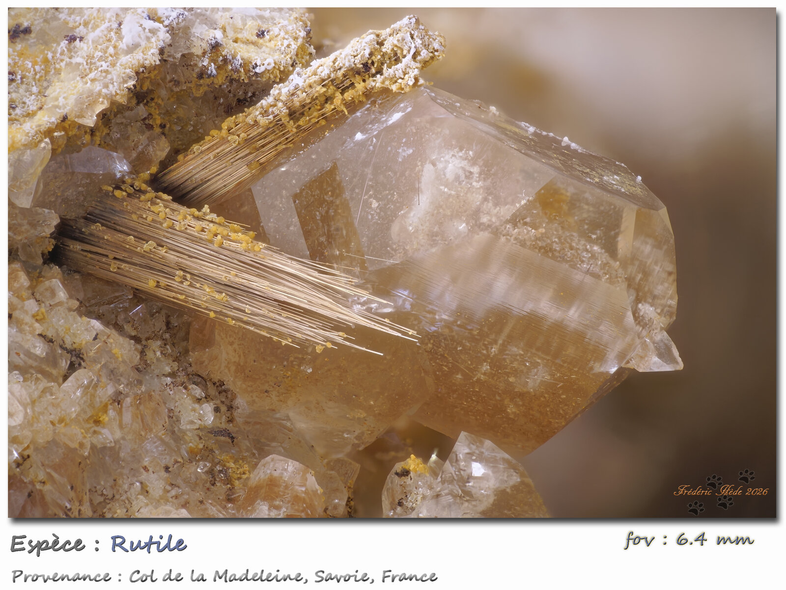 Rutile
Col de la Madeleine, La Lauzière Massif, Saint-Jean-de-Maurienne, Savoie, Auvergne-Rhône-Alpes, France
fov 6.4 mm
(Autor: ploum)