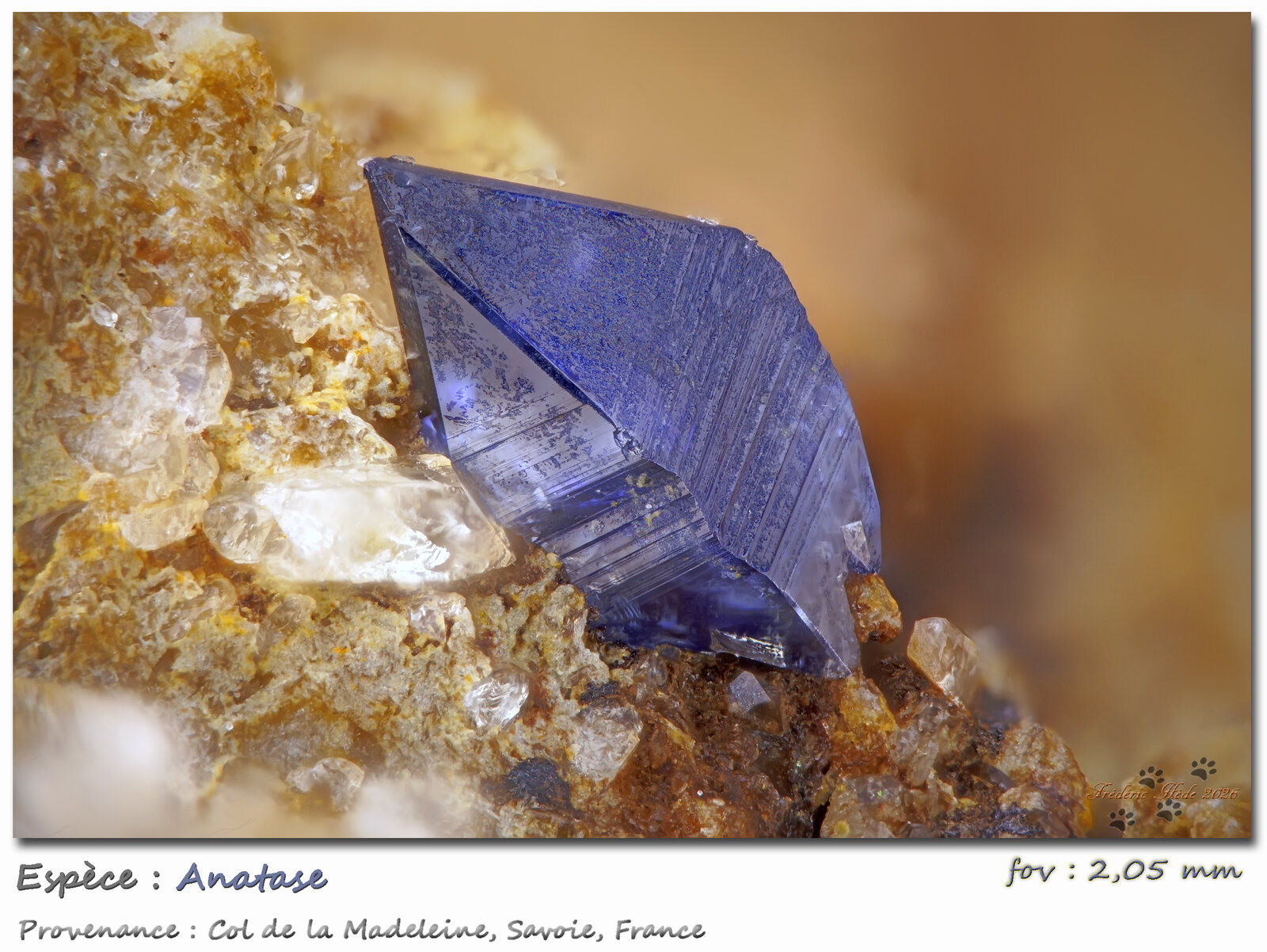 Anatase
Col de la Madeleine, La Lauzière Massif, Saint-Jean-de-Maurienne, Savoie, Auvergne-Rhône-Alpes, France
fov 2.05 mm
(Autor: ploum)