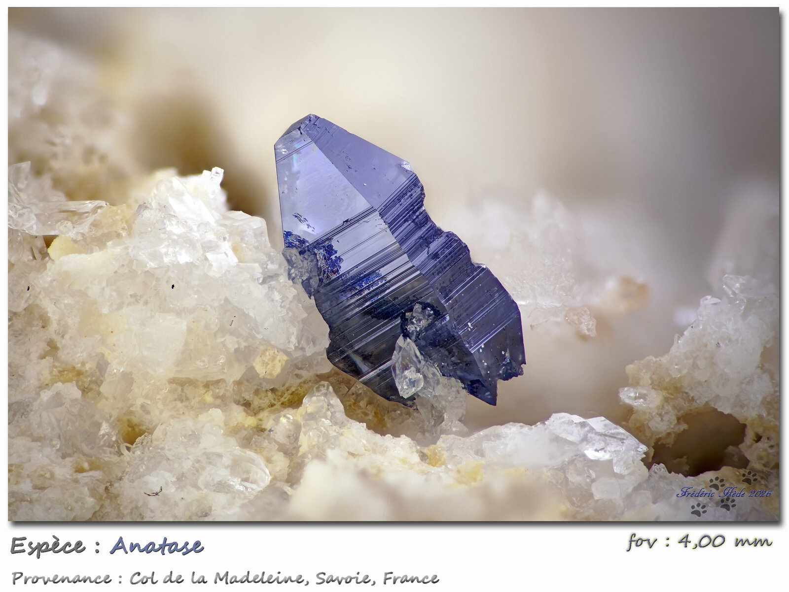 Anatase
Col de la Madeleine, La Lauzière Massif, Saint-Jean-de-Maurienne, Savoie, Auvergne-Rhône-Alpes, France
fov 4.00 mm
(Autor: ploum)