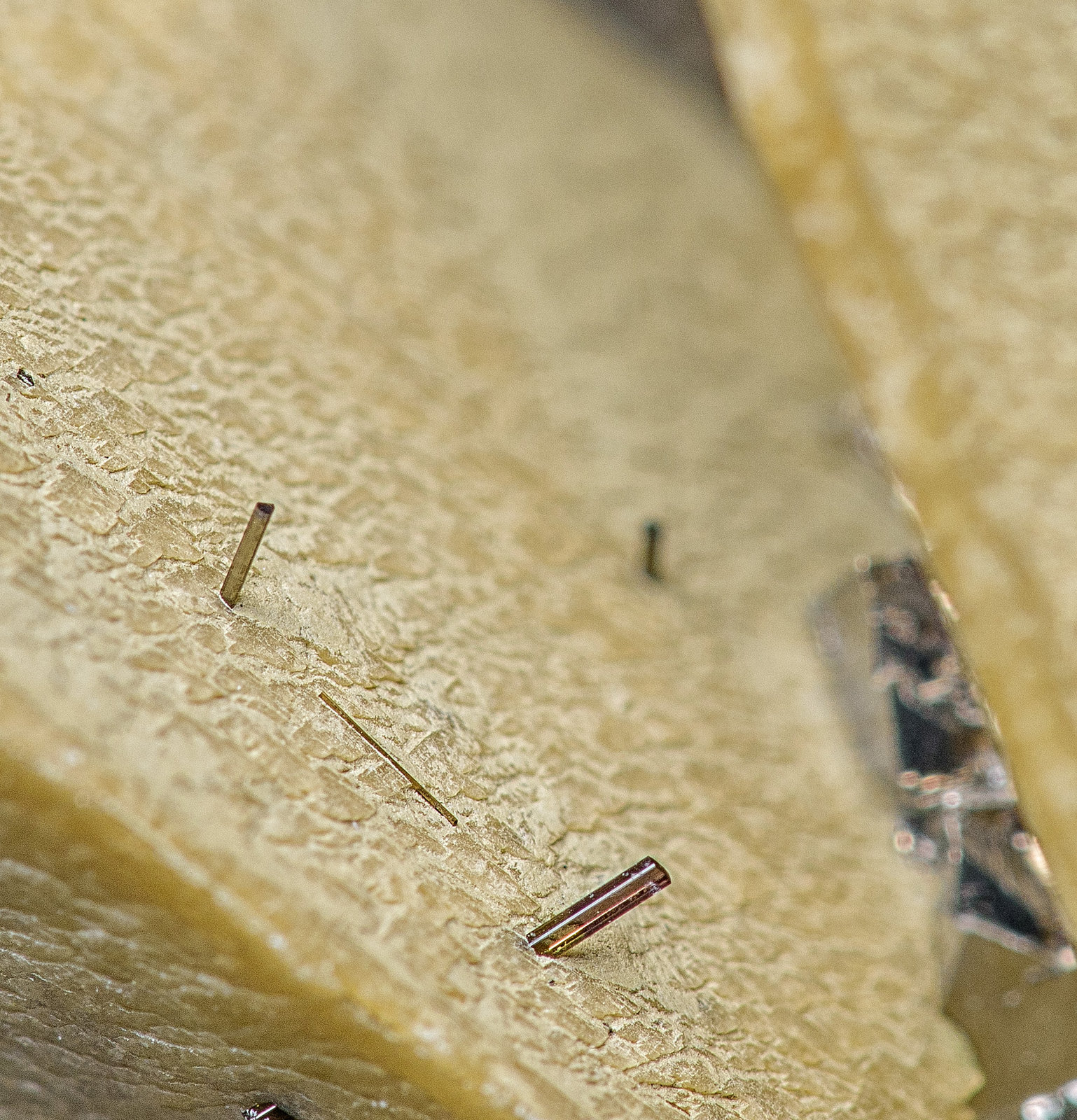 Dravite-Schorl Series
(Autor: am mizunaka)