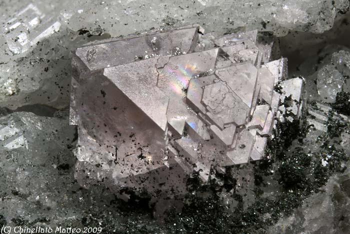 (Autor: Matteo_Chinellato)