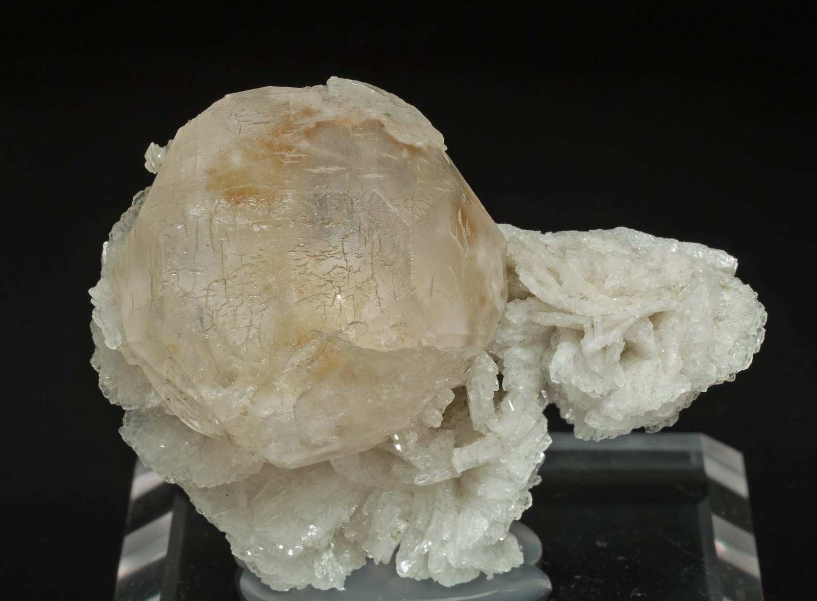Pollucite on Albite
5.8 × 4.5 × 2.3 cm
(Autor: Jordi Fabre)