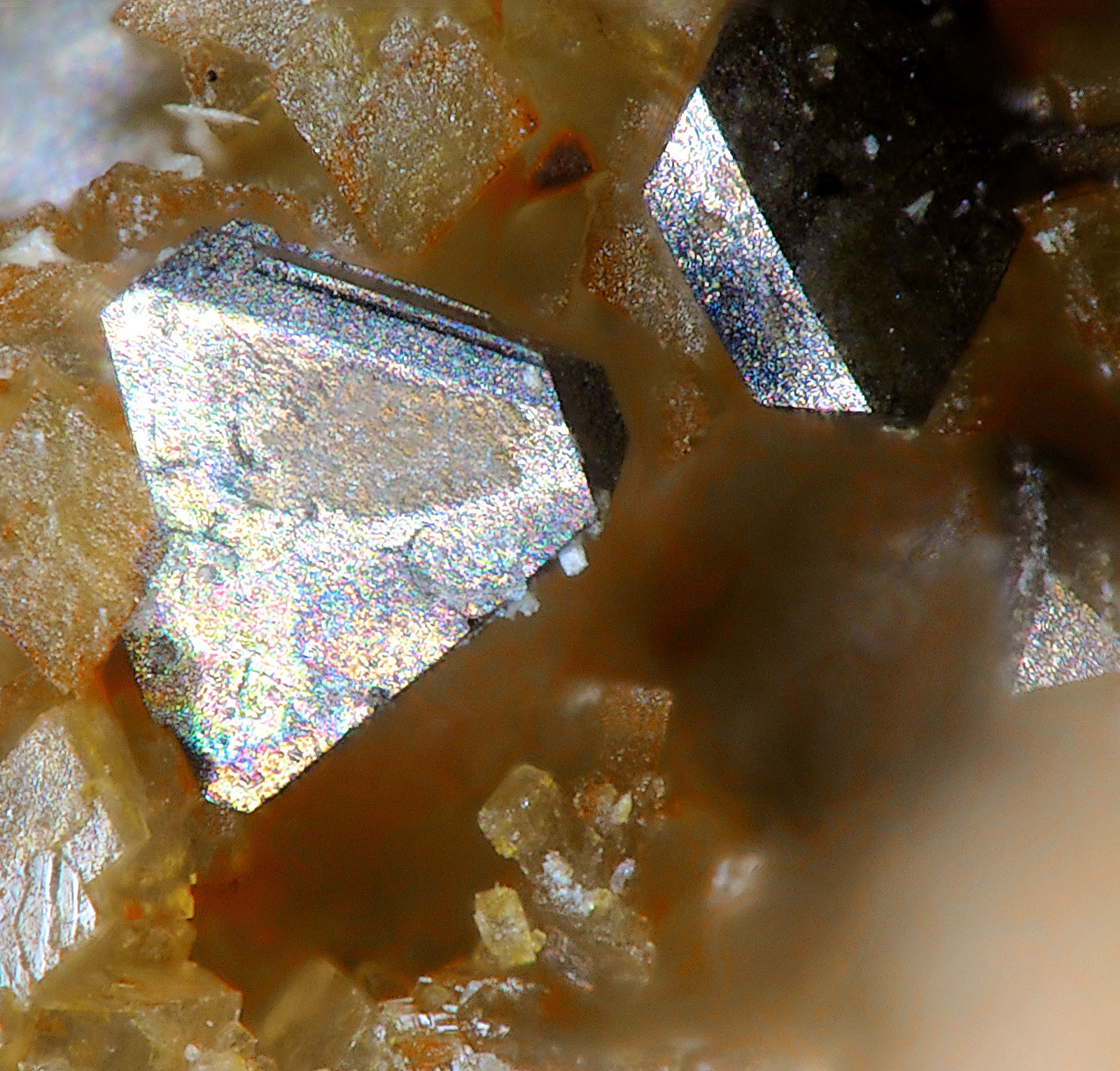 Polydymite
fov 1.4 mm
(Autor: Jordi Fabre)