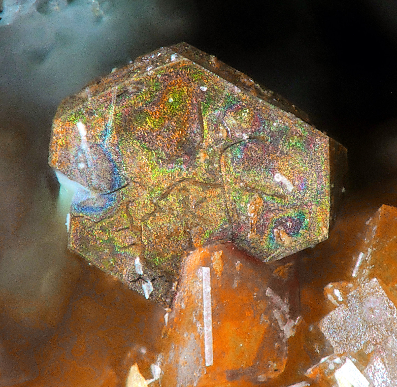 Polydymite
fov 0.75 mm
(Autor: Jordi Fabre)