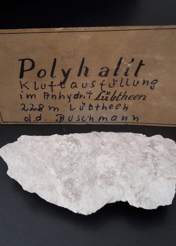 Polyhalite
9 x 5 cm
(Autor: Andreas Gerstenberg)