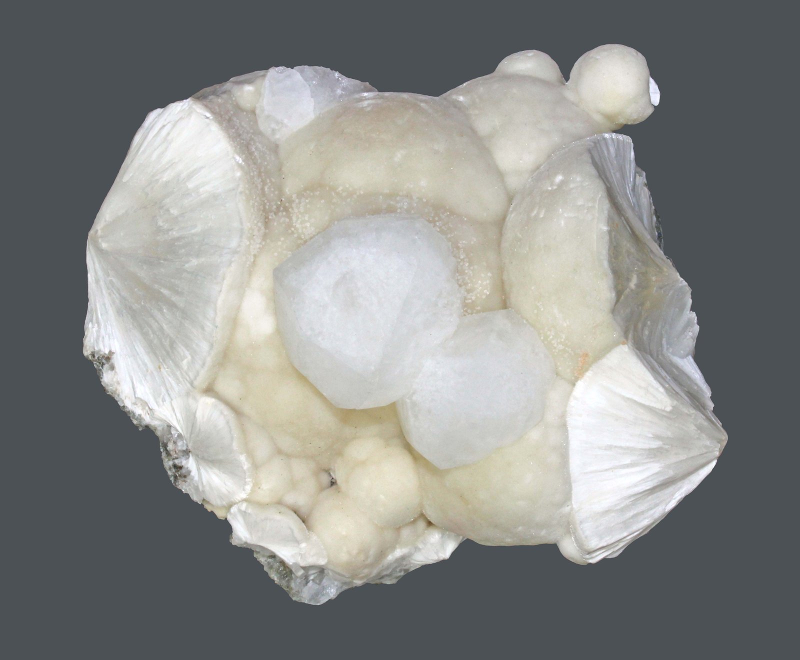 Analcime and Pectolite
10.6 x 9.1 cm
(Autor: Frank Imbriacco)