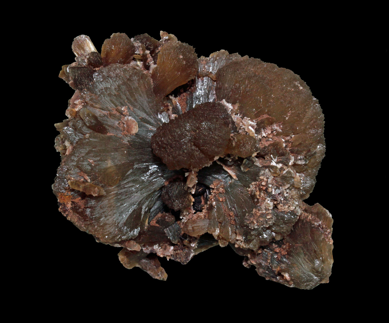 Stilbite
7.5 x 6.7 cm
(Autor: Frank Imbriacco)