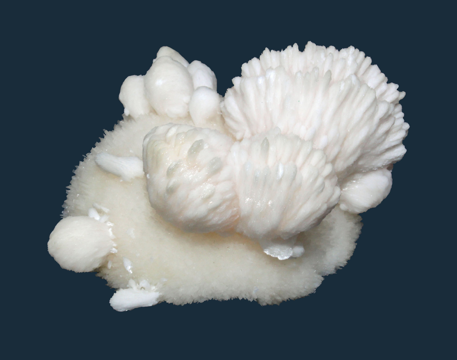 Thomsonite and Pectolite
6.1 x 5.7 cm
(Autor: Frank Imbriacco)