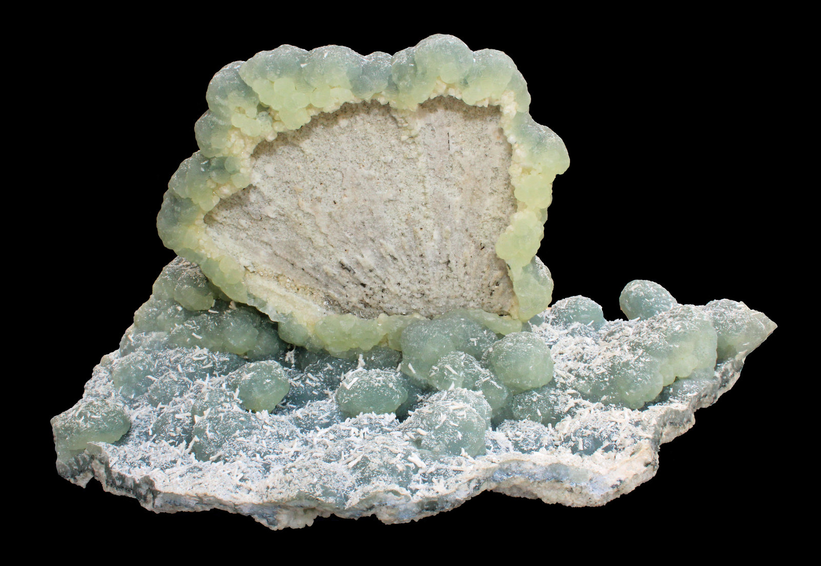 Prehnite epimorphic on Anhydrite with Laumontite
27.5 x 19.8 x 14.2 cm
(Autor: Frank Imbriacco)
