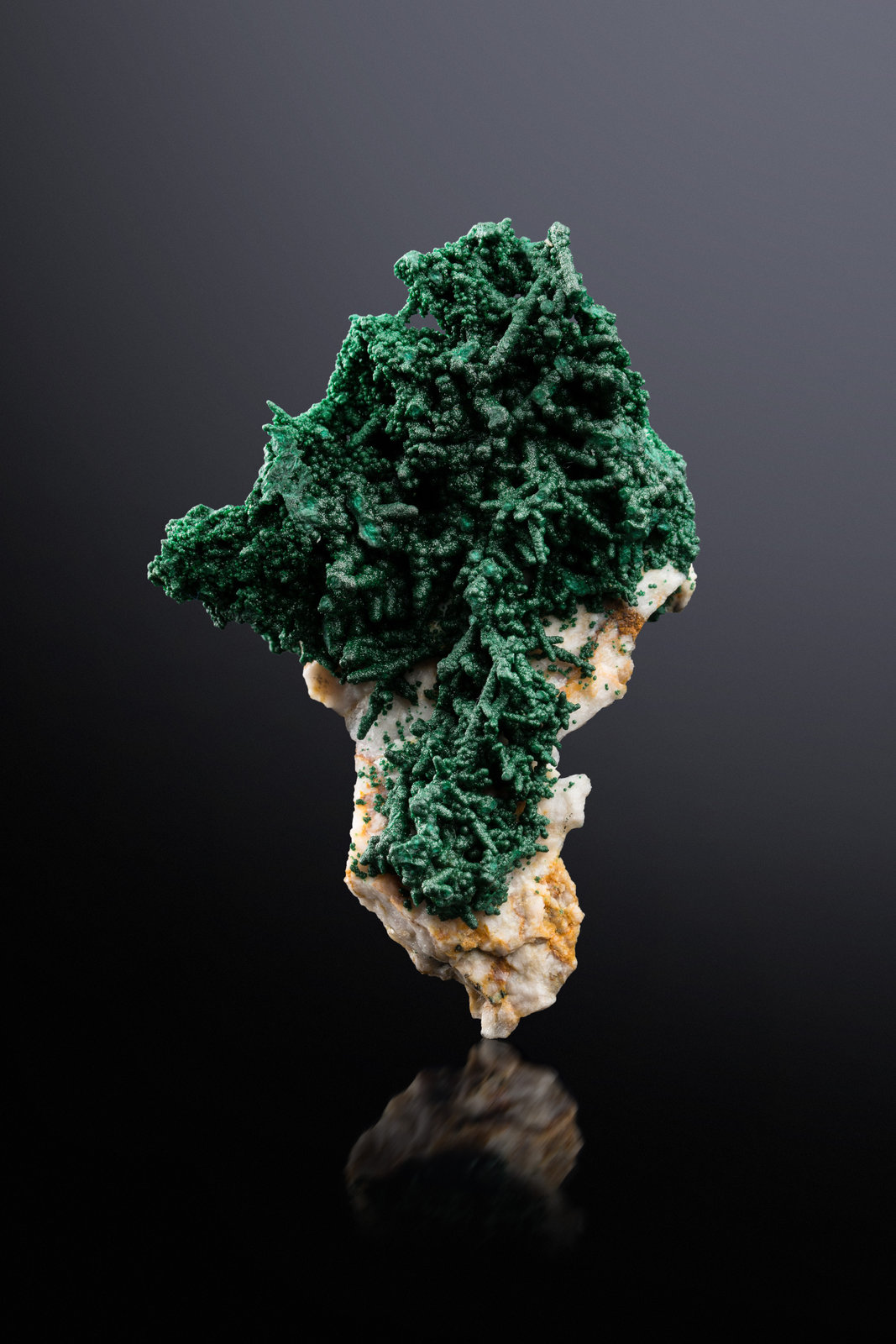 Pseudomalachite
5.5 x 3 x 8 cm
(Autor: MIM Museum)