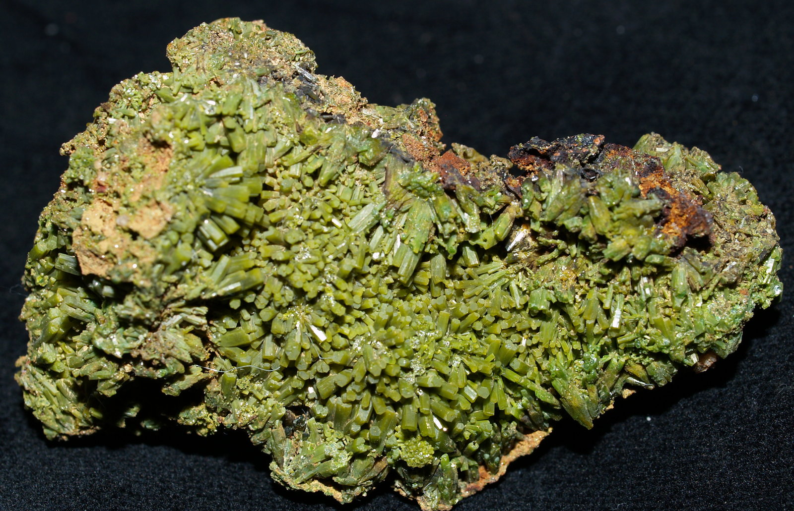Pyromorphite
7x3.5x1.5 cm
(Autor: Joseph DOliveira)