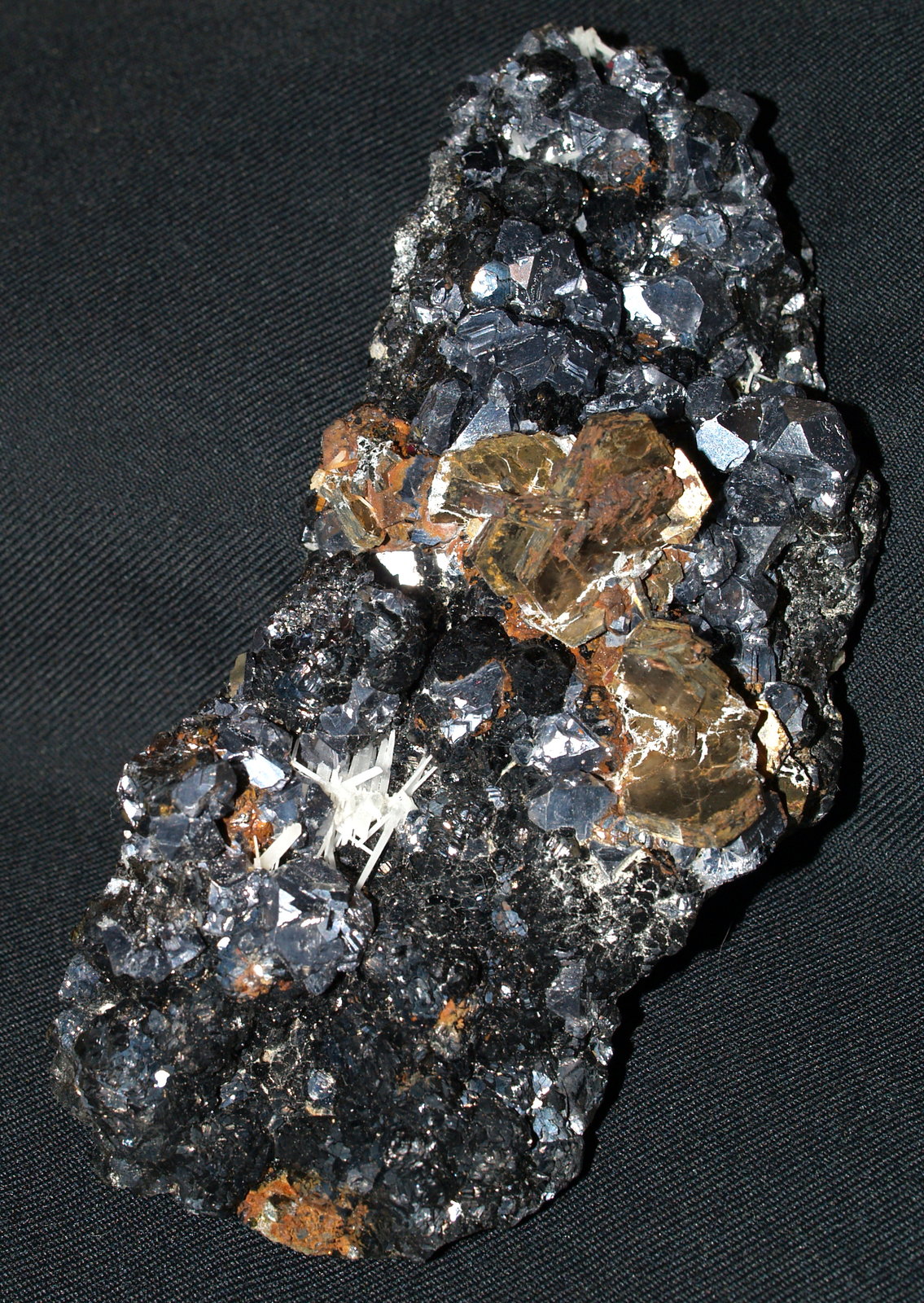 Pyrrhotite and Galena on Sphalerite
17x7x4 cm
(Autor: Joseph DOliveira)