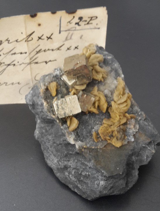 Pyrite with Siderite
7 x 5 cm
(Autor: Andreas Gerstenberg)