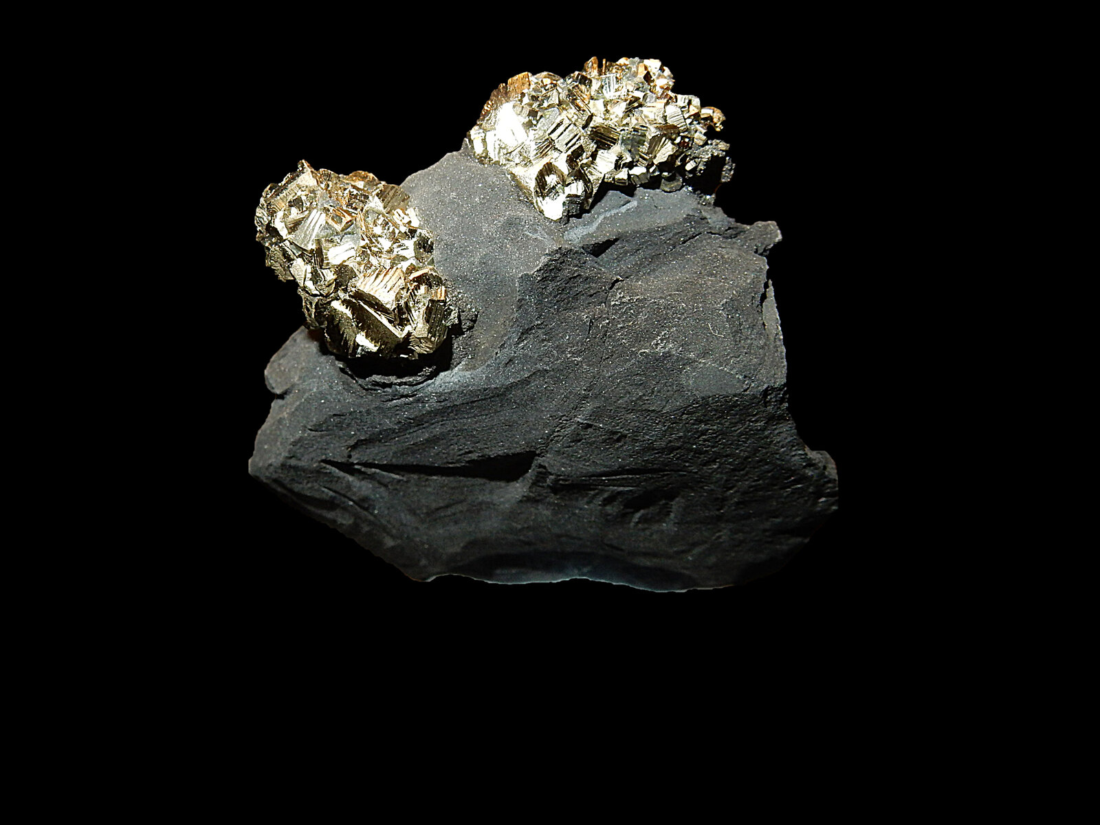 Pyrite
Barranco Torrent de Rolland, Baie des Lionnets, Rousset-Serre-Ponçon, Gap, Hautes-Alpes, Provence-Alpes-Côte d'Azur, Francia
40 mm x 40 mm x 20 mm
(Autor: Dany Mabillard)