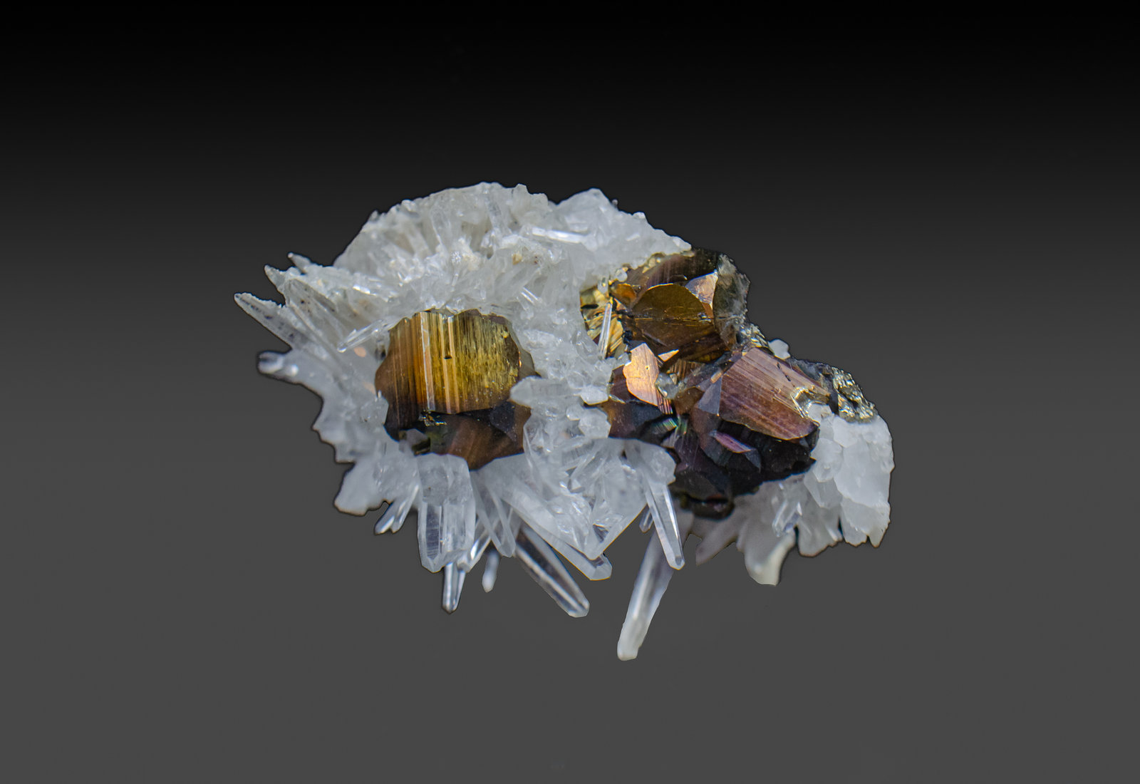Pyrite on Quartz
4.3cm x 3cm x 2.3cm
(Autor: k-m.minerals)