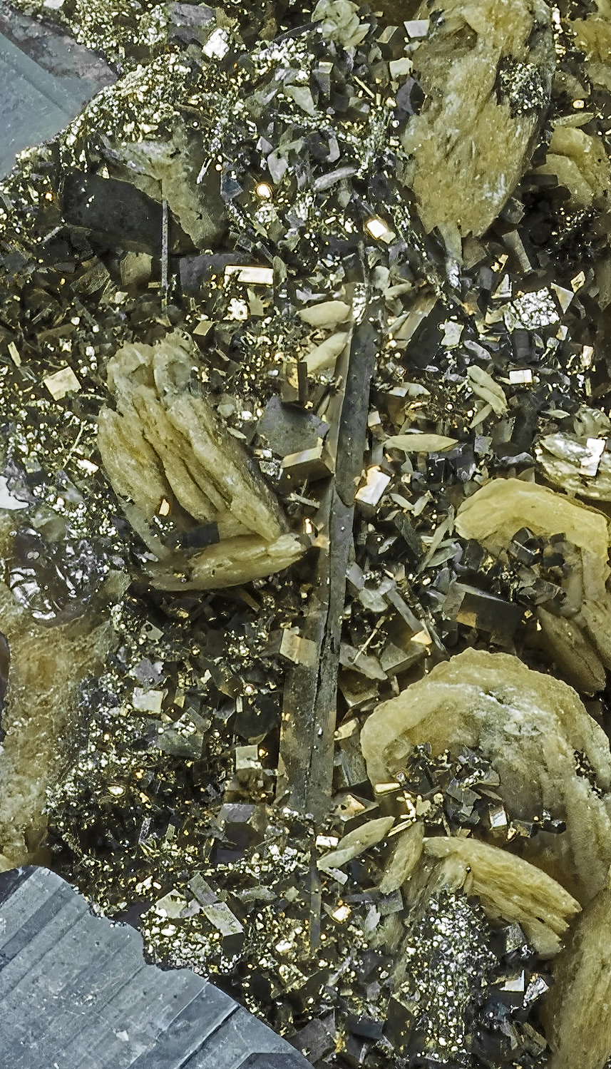 Pyrite
(Autor: am mizunaka)
