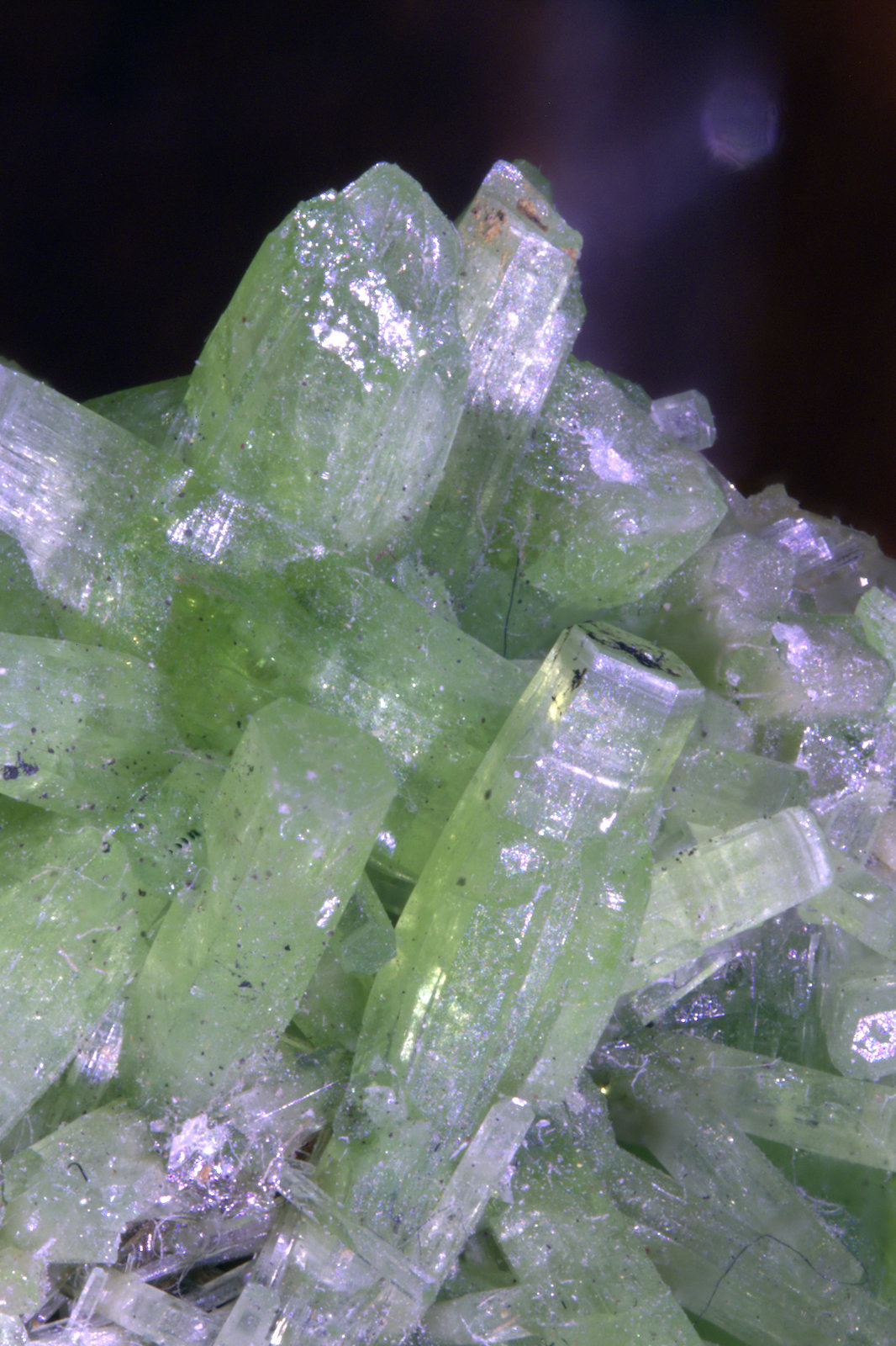Pyromorphite
FOV 12 mm
(Autor: Adrian Pripoae)