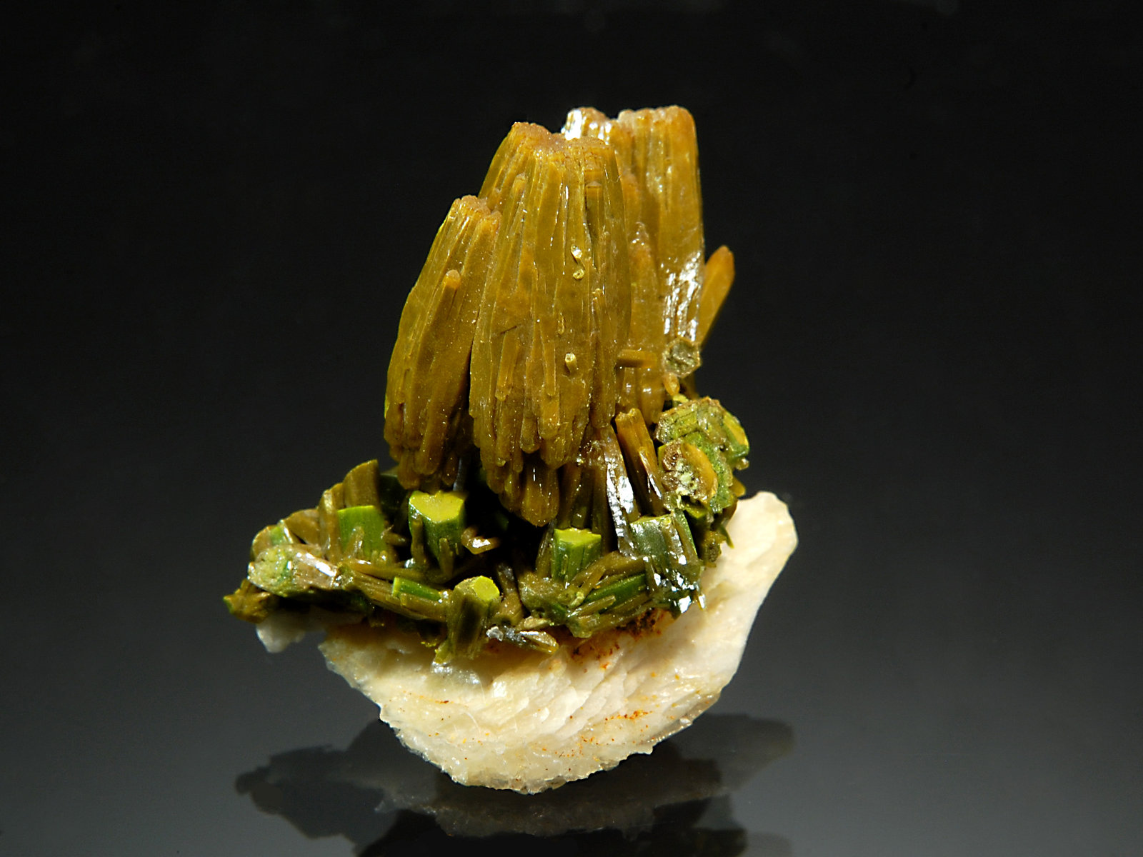 Pyromorphite
1.8 x 2.2 cm
(Autor: Michael Shaw)