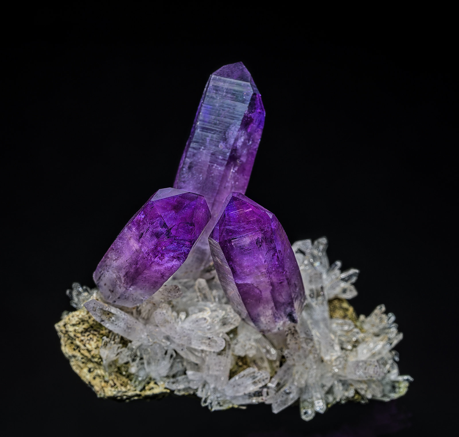 Quartz (variety amethyst)
5.0 x 4.1 cm
(Autor: am mizunaka)
