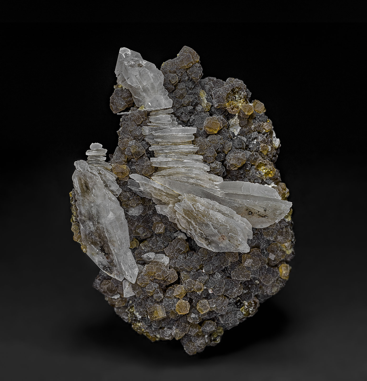 Quartz, Andradite
6.8 x 4.7 cm
(Autor: am mizunaka)