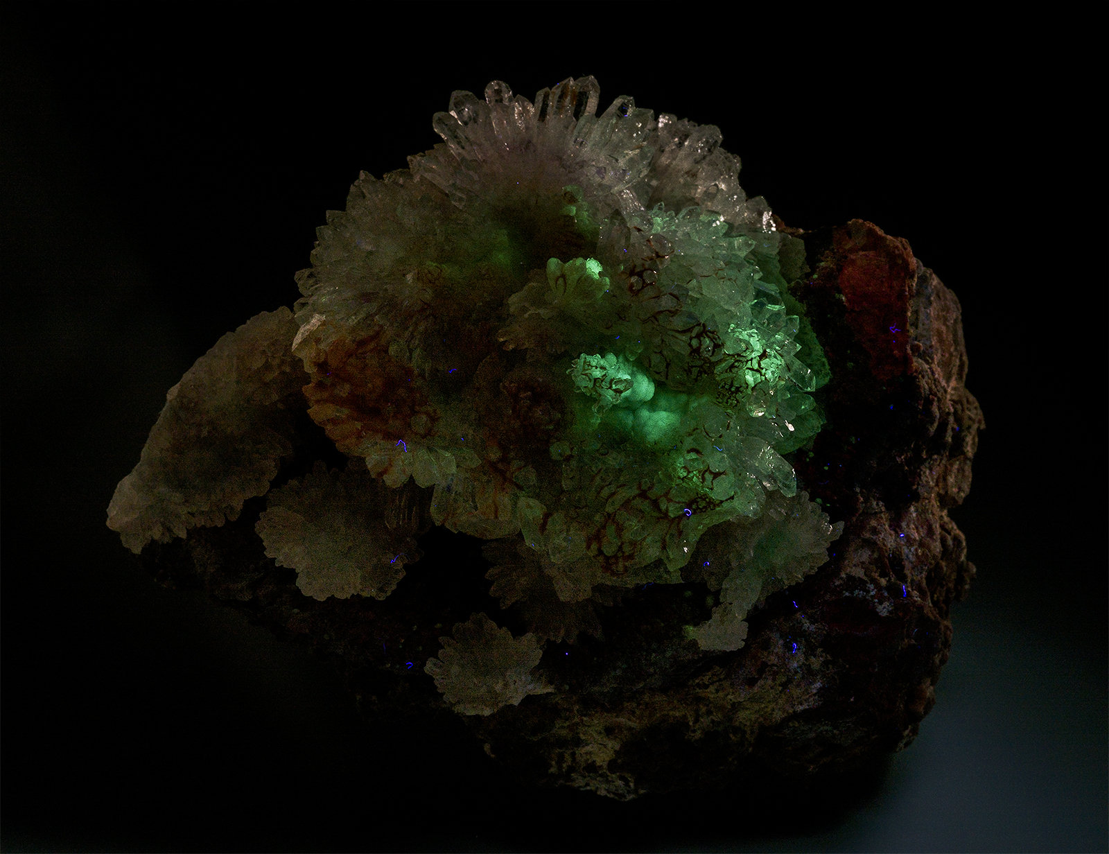 Quartz (variety amethyst), Quartz (variety chalcedony), Opal-AN
7.0 x 5.7 cm
(Autor: am mizunaka)