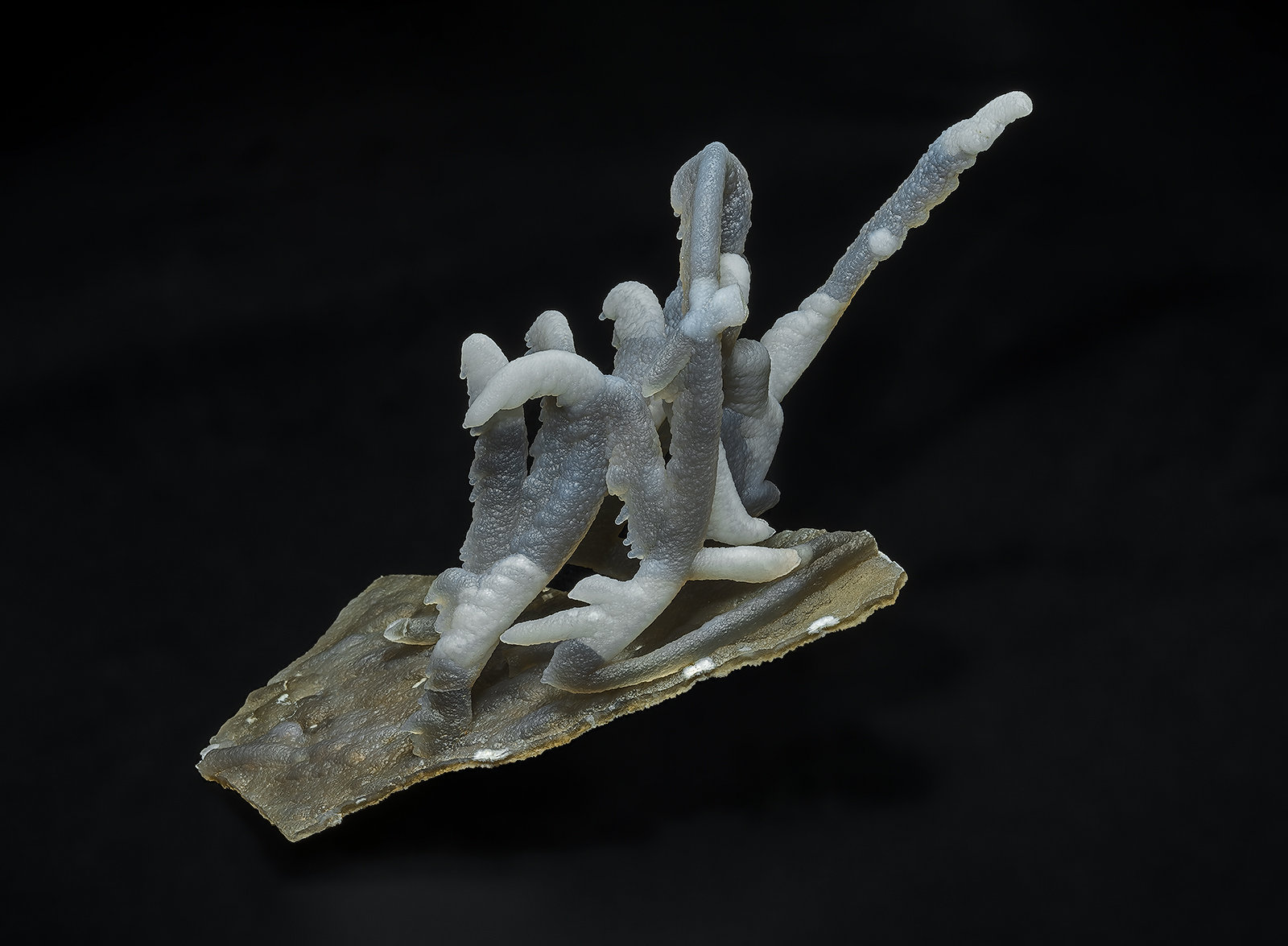 Quartz (variety chalcedony)
12.5 x 7.0 cm
(Autor: am mizunaka)