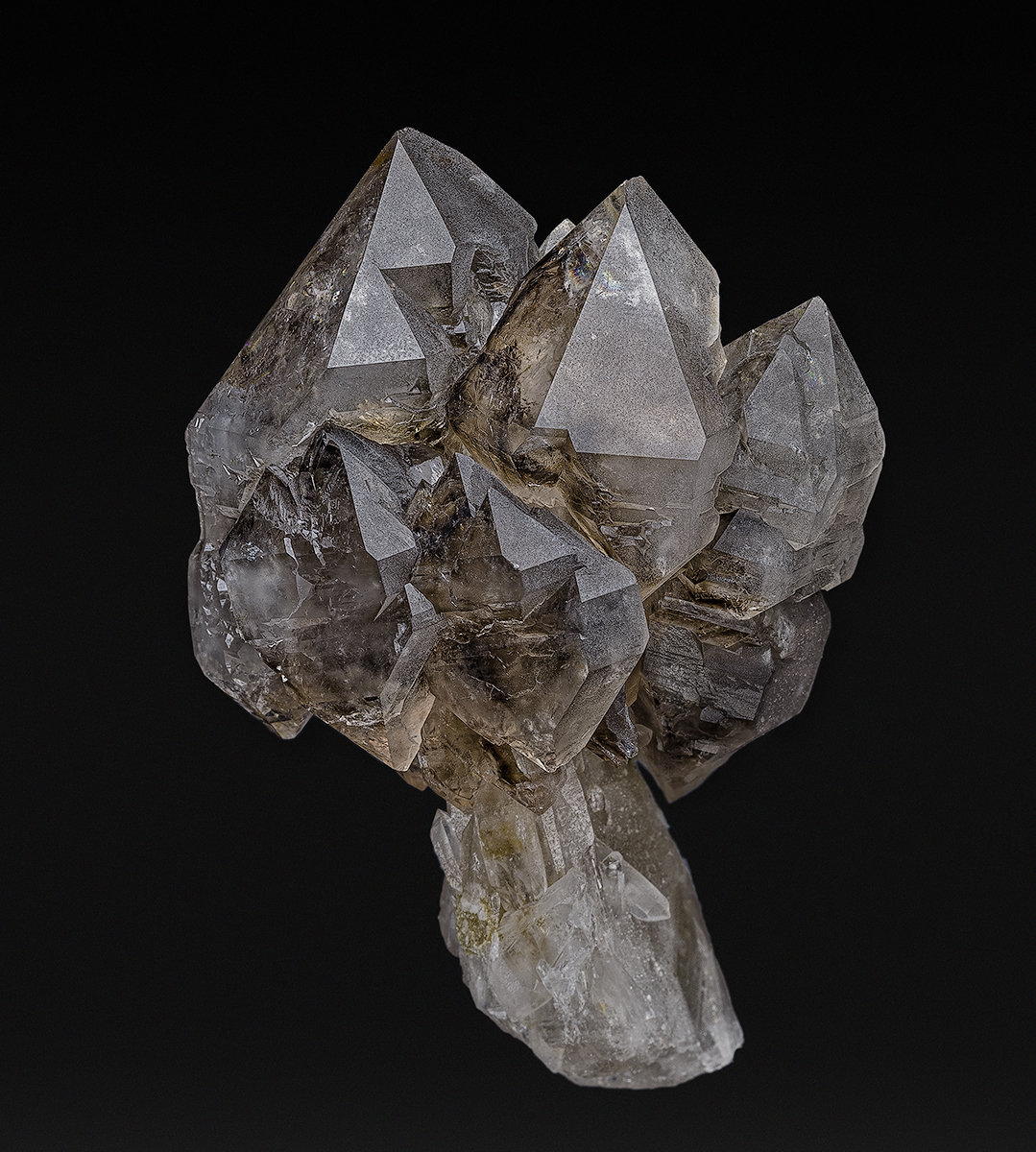 Quartz (variety smoky quartz)
7.9 x 5.3 cm
(Autor: am mizunaka)