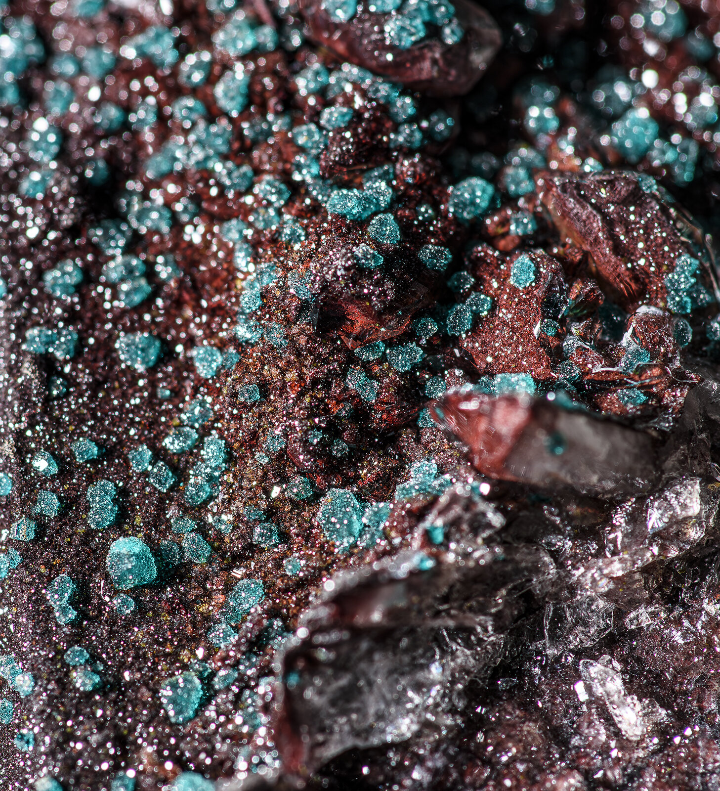 Quartz, Dioptase, Calcite
Tsumeb Mine, Tsumeb, Otjikoto Region, Namibia
(Autor: am mizunaka)