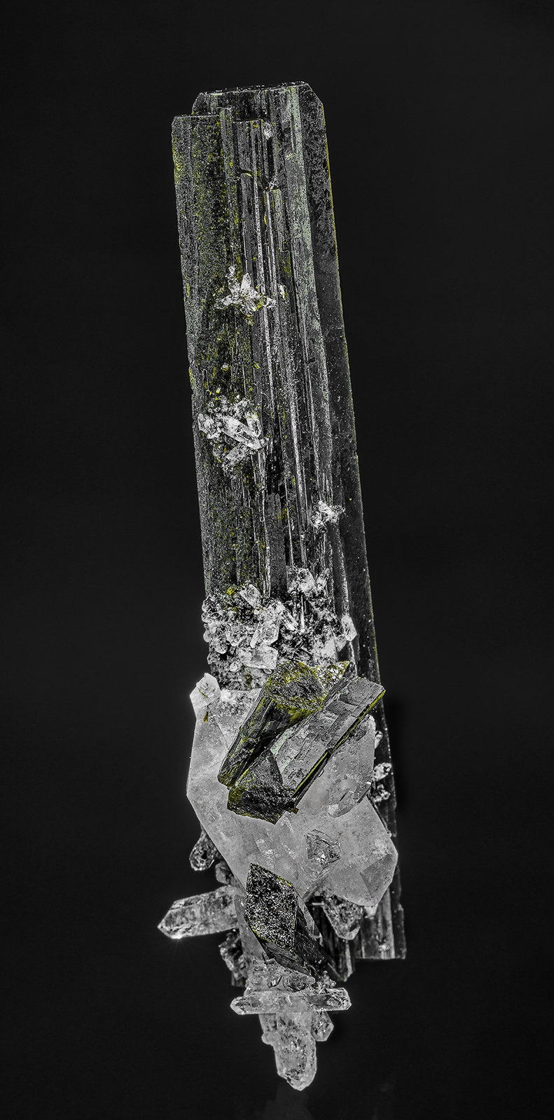 Epidote, Quartz
8.0 x 1.6 cm
(Autor: am mizunaka)