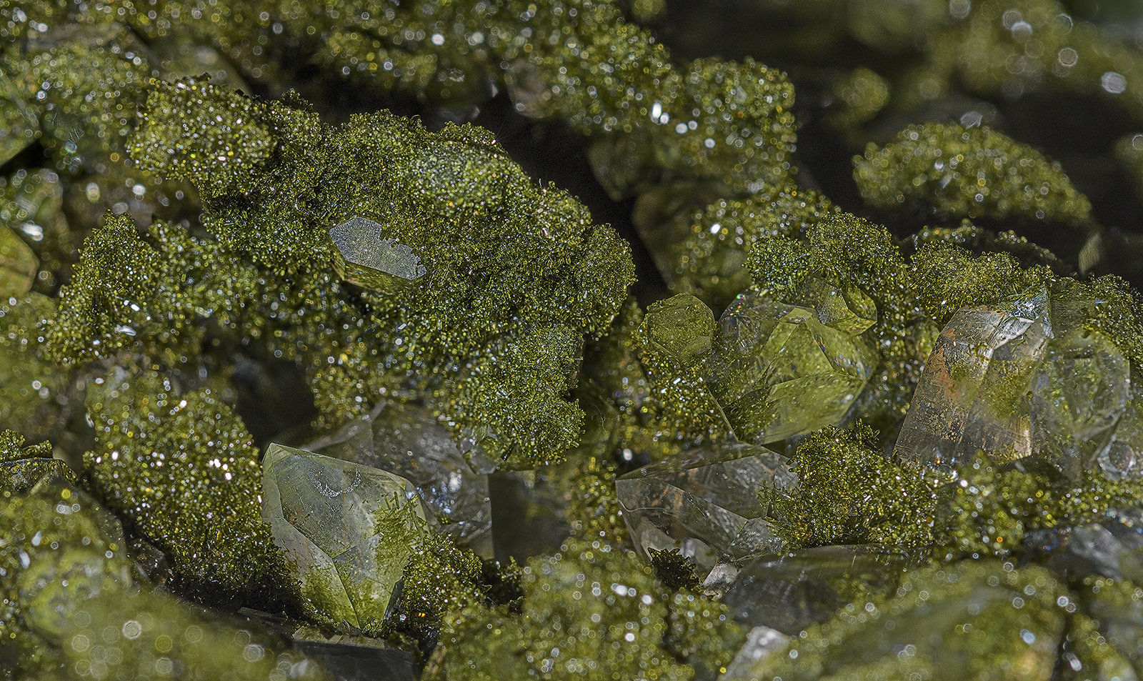 Quartz, Epidote
(Autor: am mizunaka)