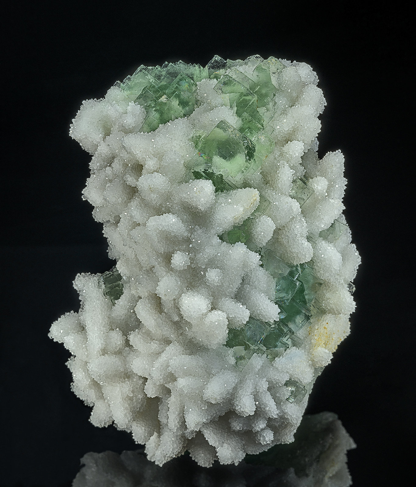 Fluorite and Quartz after Calcite
12.0 x 8.2 cm
(Autor: am mizunaka)